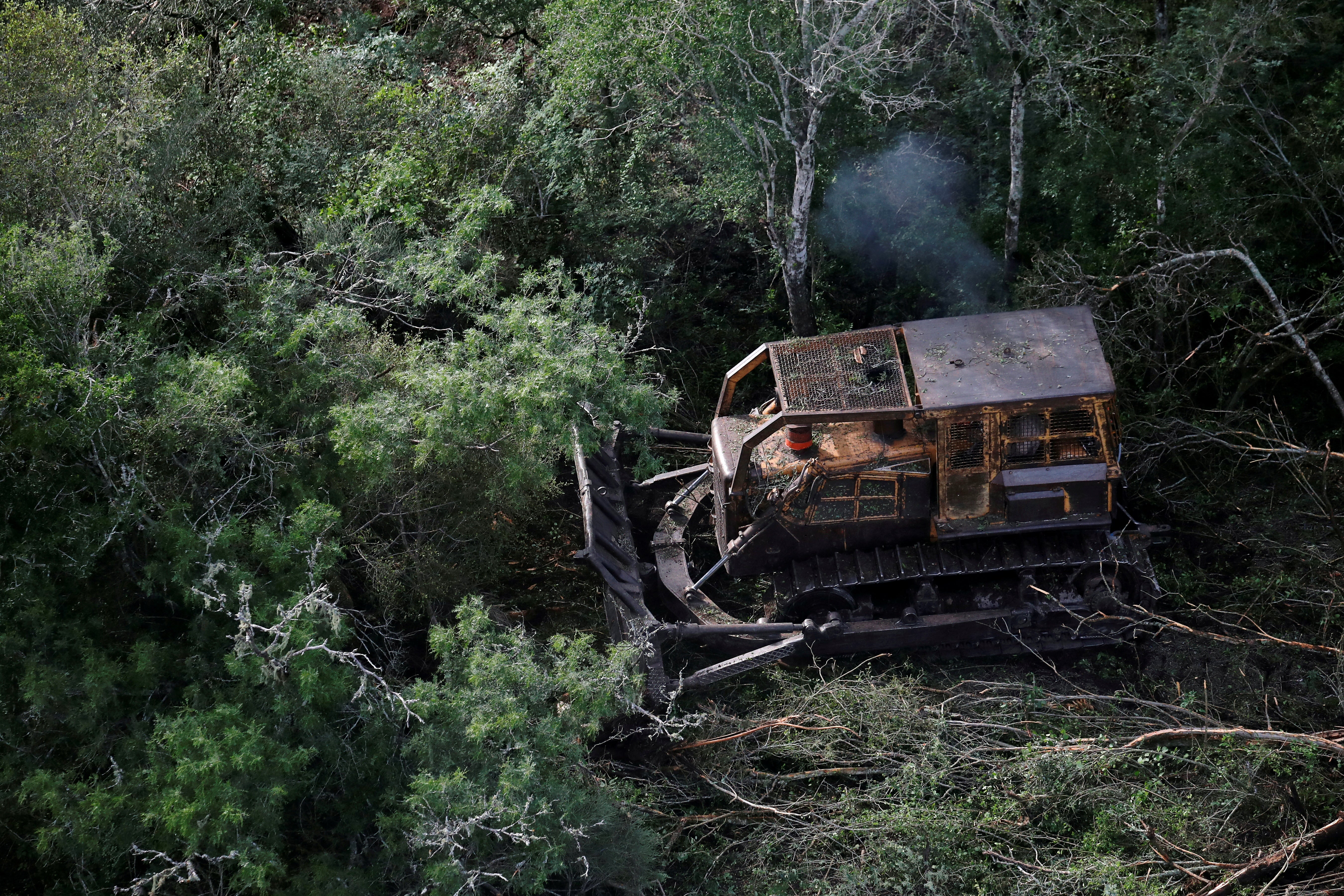 A bulldozer removes trees from a forested area near Las Lomitas in Formosa, Argentina