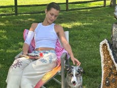 Bella Hadid raises eyebrows after posting a GoFundMe page