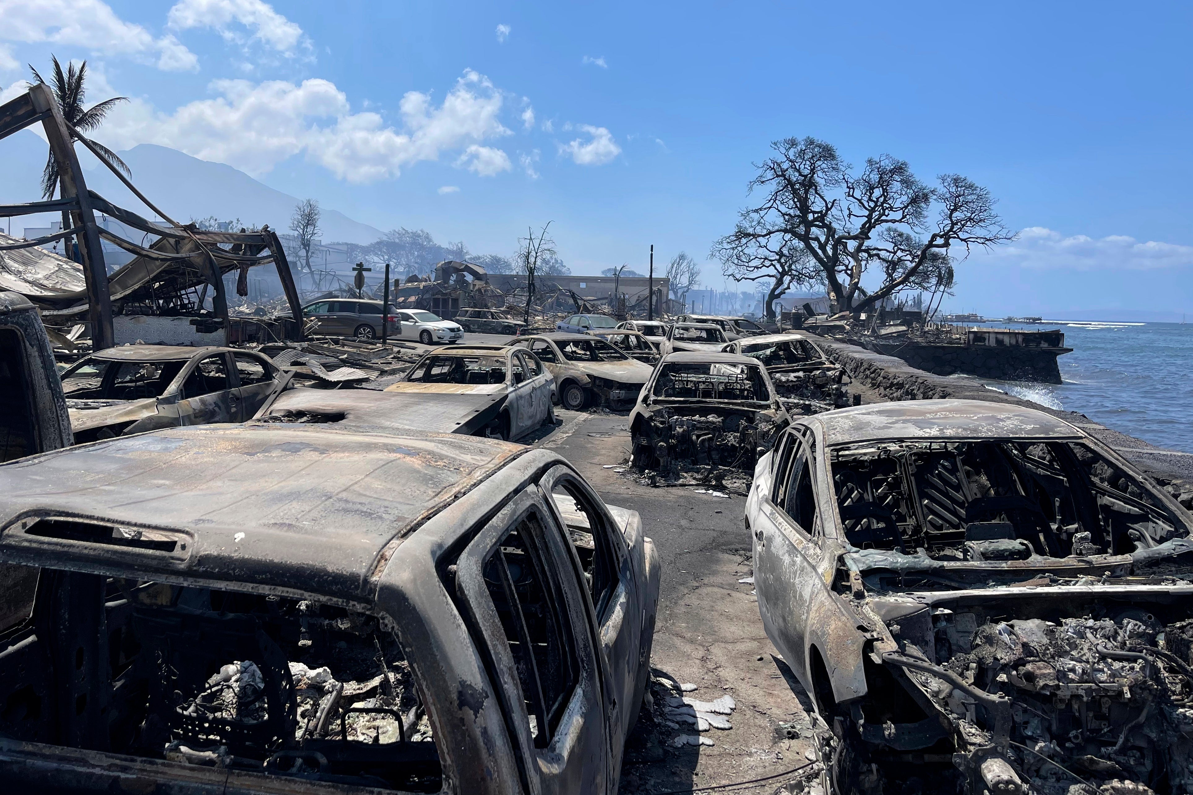 Burned out cars in Lahaina