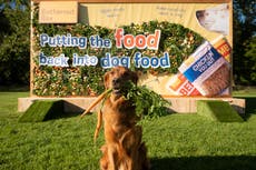 Research shows millions of dog owners have no idea what’s in their pet’s food