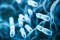 What is Legionnaires’ disease and what are the symptoms?
