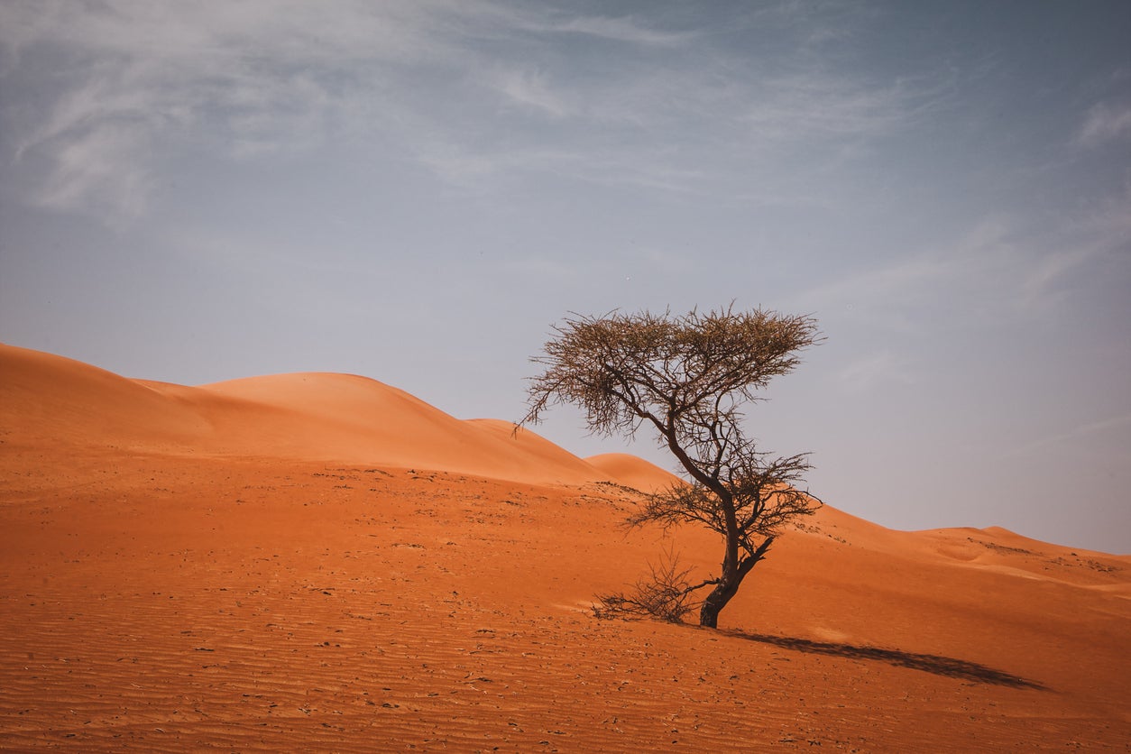 The Sharqiya Sands were formerly known as the Wahiba Sands