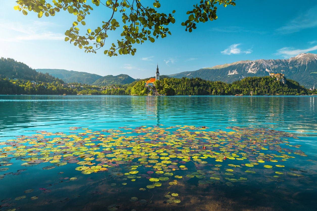 Wine and dine on the magical shores of Lake Bled