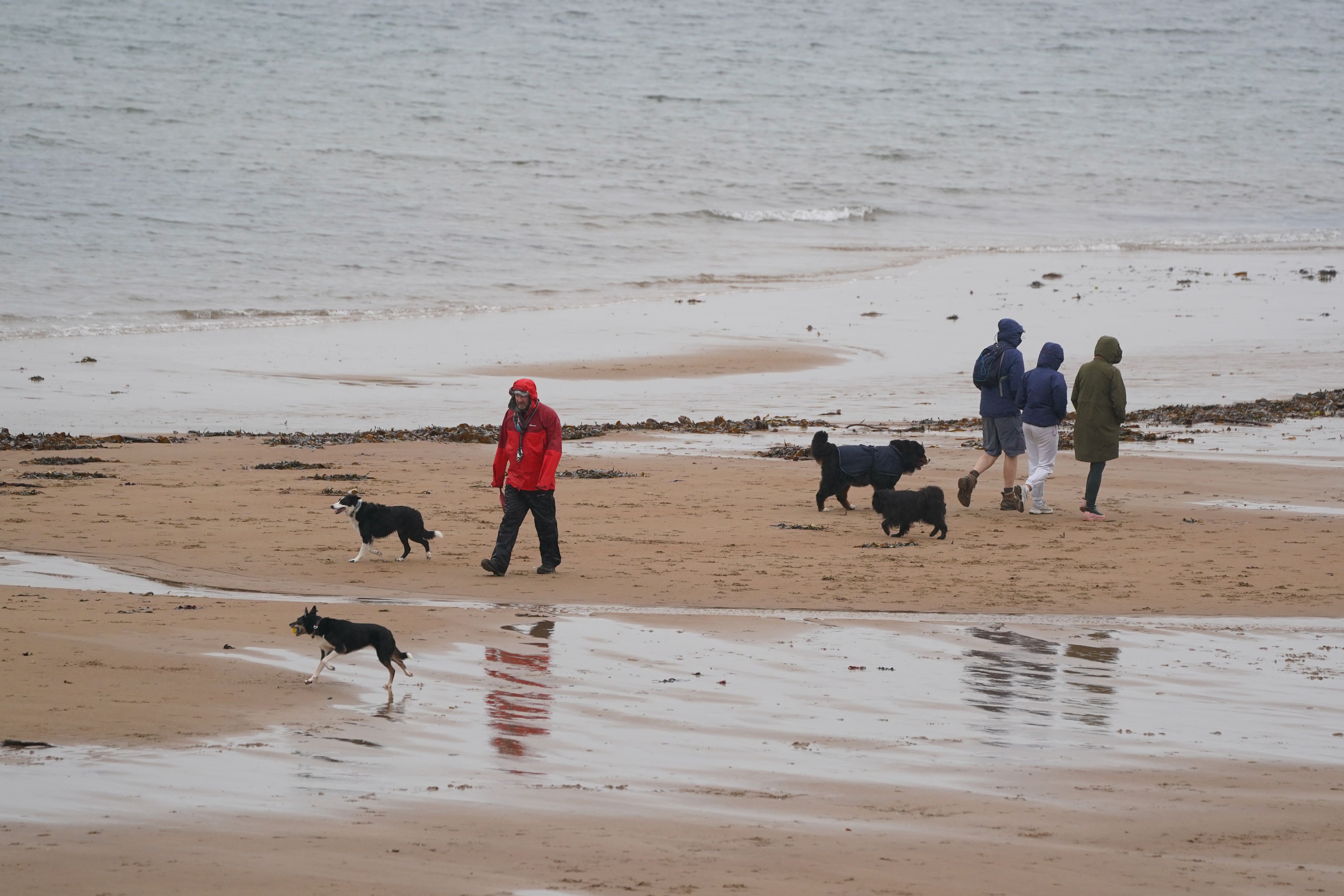 Dog walkers brave the wet weather at Longsands beach in Tynemouth (Owen Humphreys/PA)