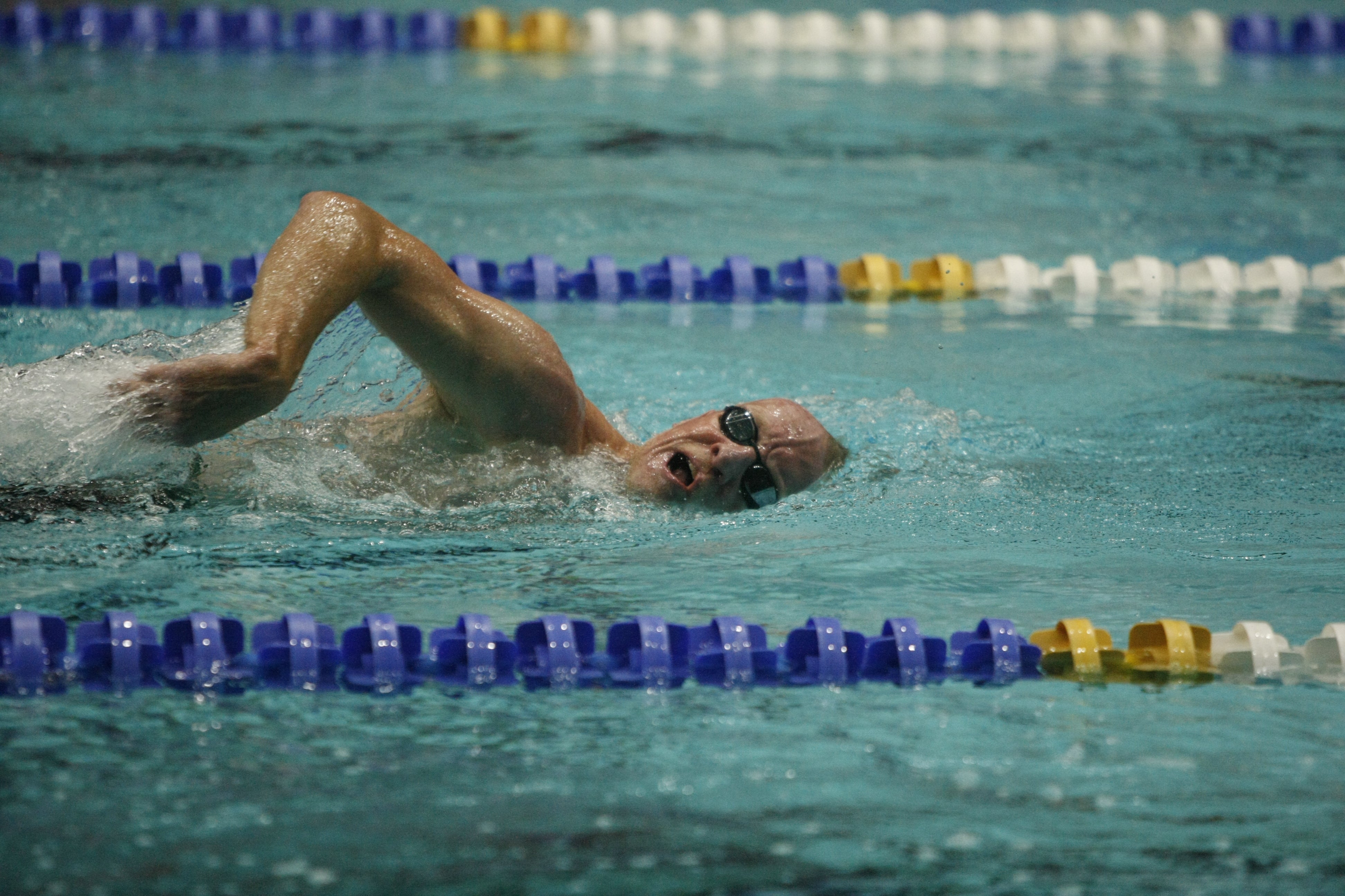 Chris Brown swims at Ponds Forge in the Sheffield in National Champs 50m freestyle