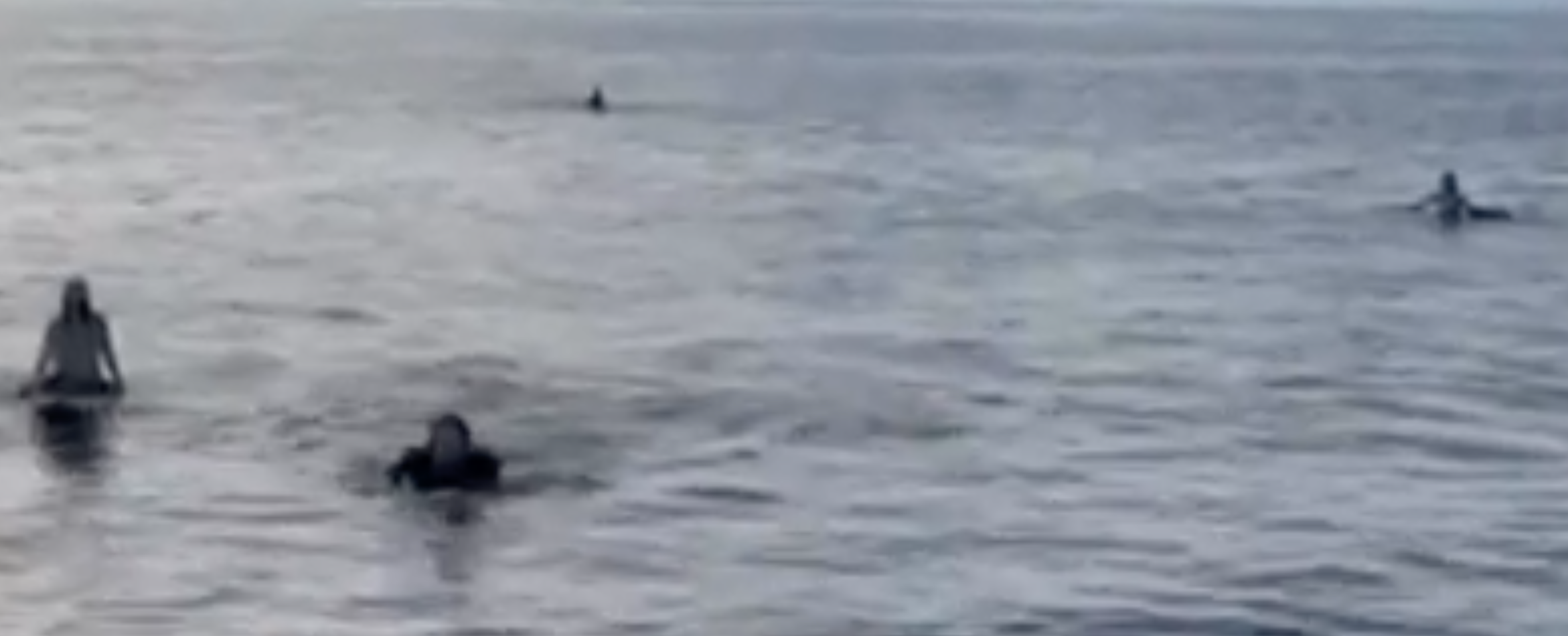 A friend of the group filmed the moment he spotted the first three surfers in the ocean