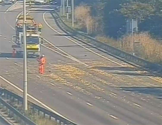 Watermelon spillage causes chaos on busy motorway