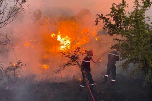 Around 650 firefighters were brought in to tackle the flames threatening the town of Saint-André