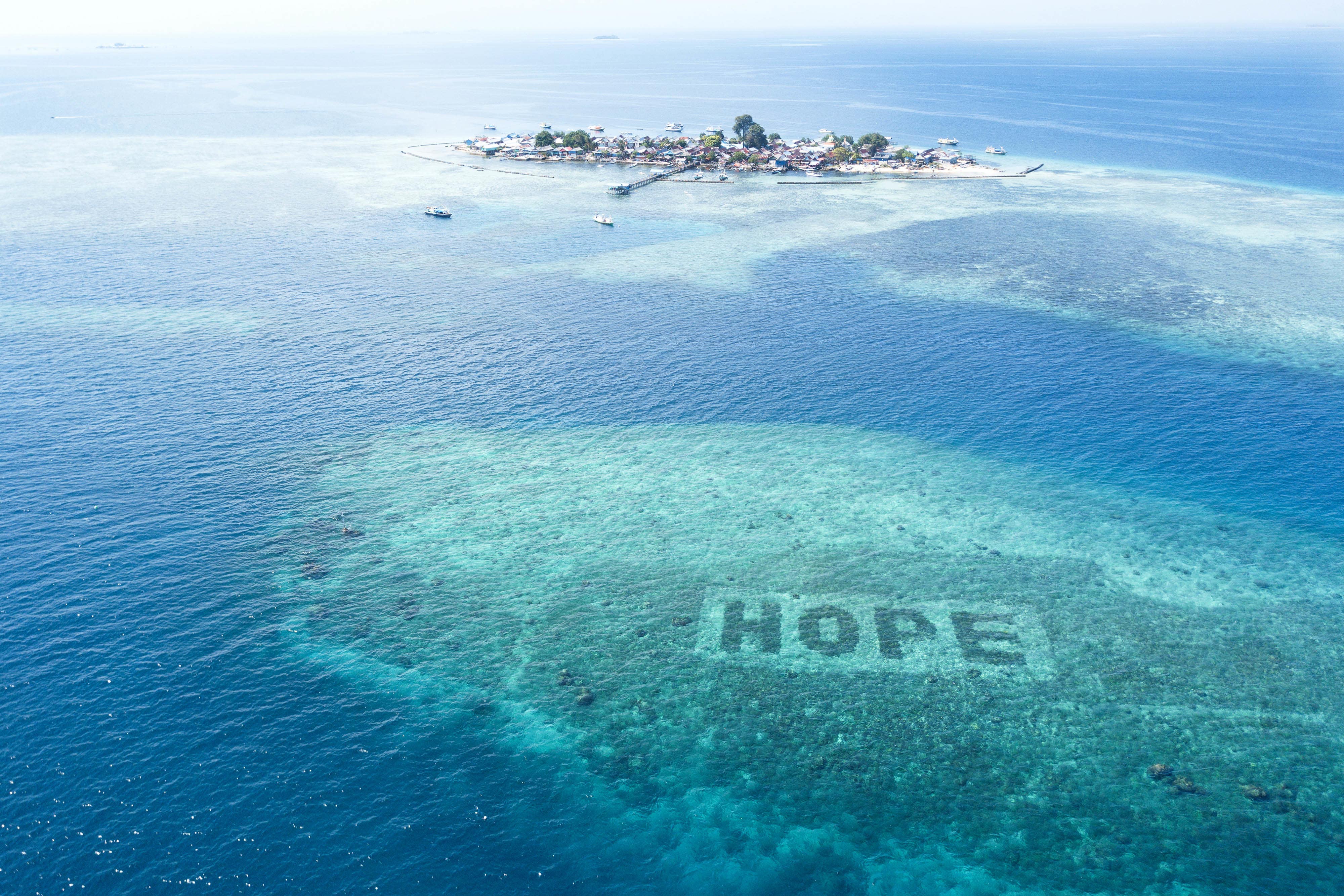 The Hope Reef in Indonesia is the world’s largest coral restoration project (Kristoffer Trondsen/PA)