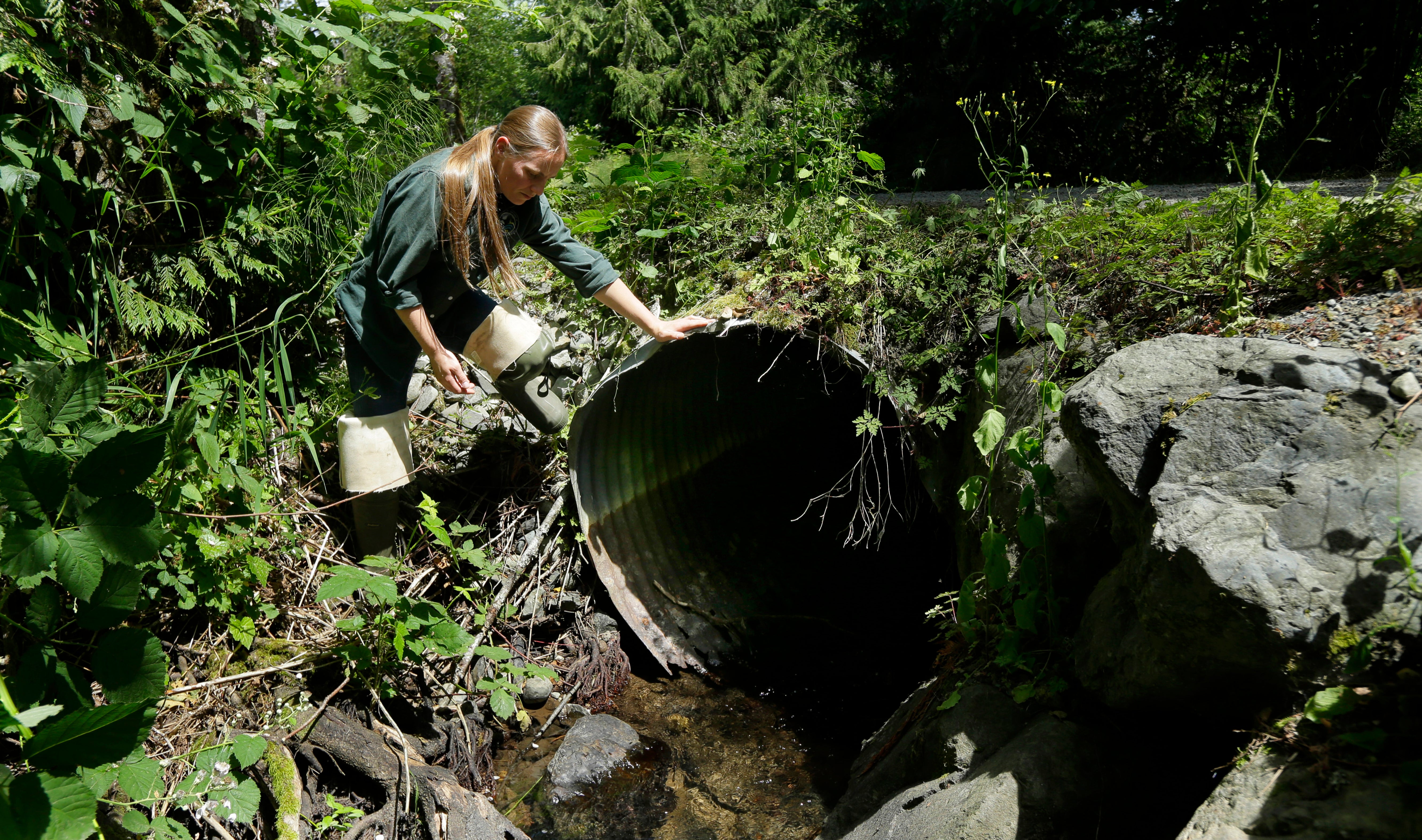 Roads-Fish Passage