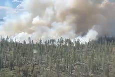 Evacuations ordered as Head wildfire spreads in northern California