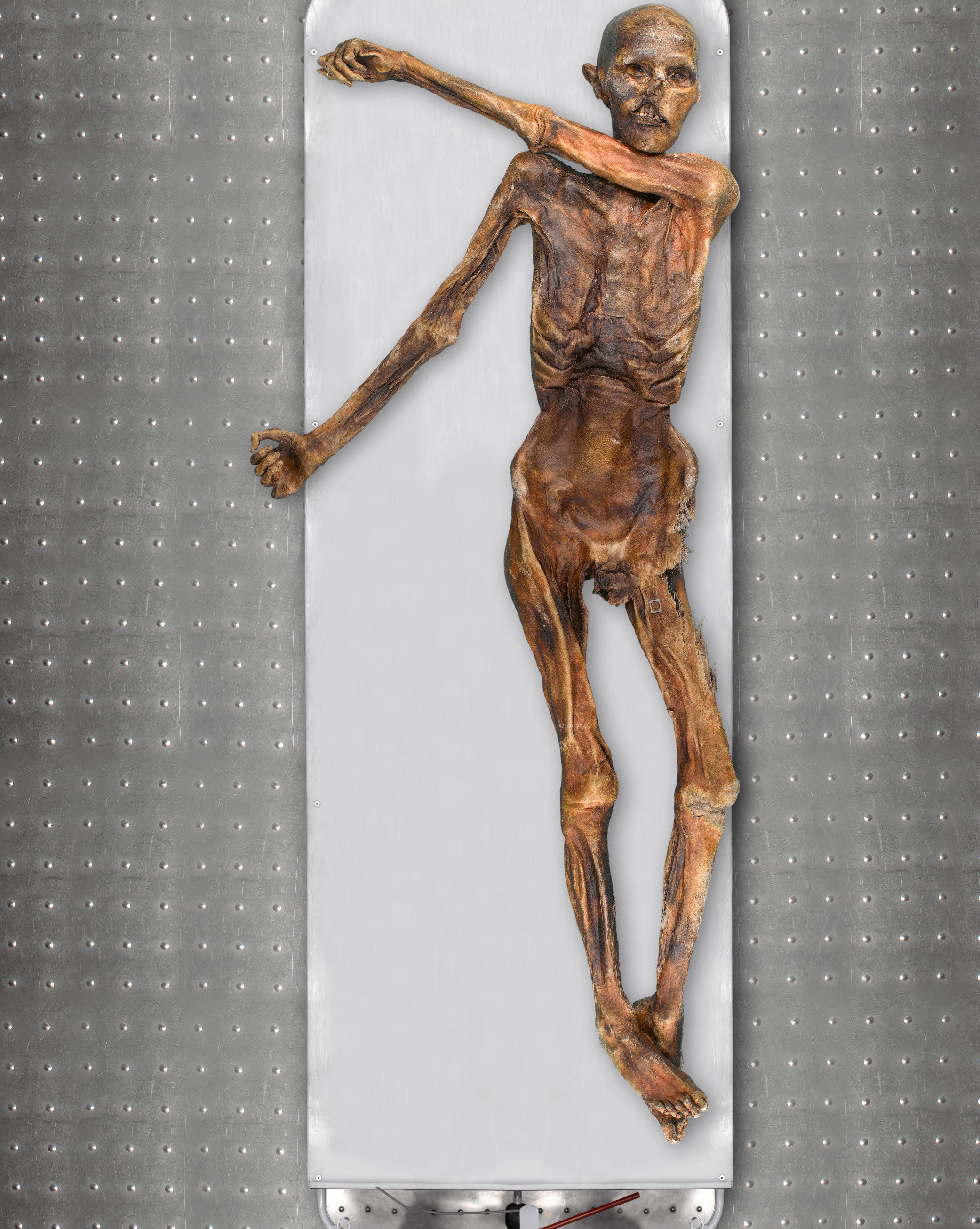 Glacier Mummy DNA