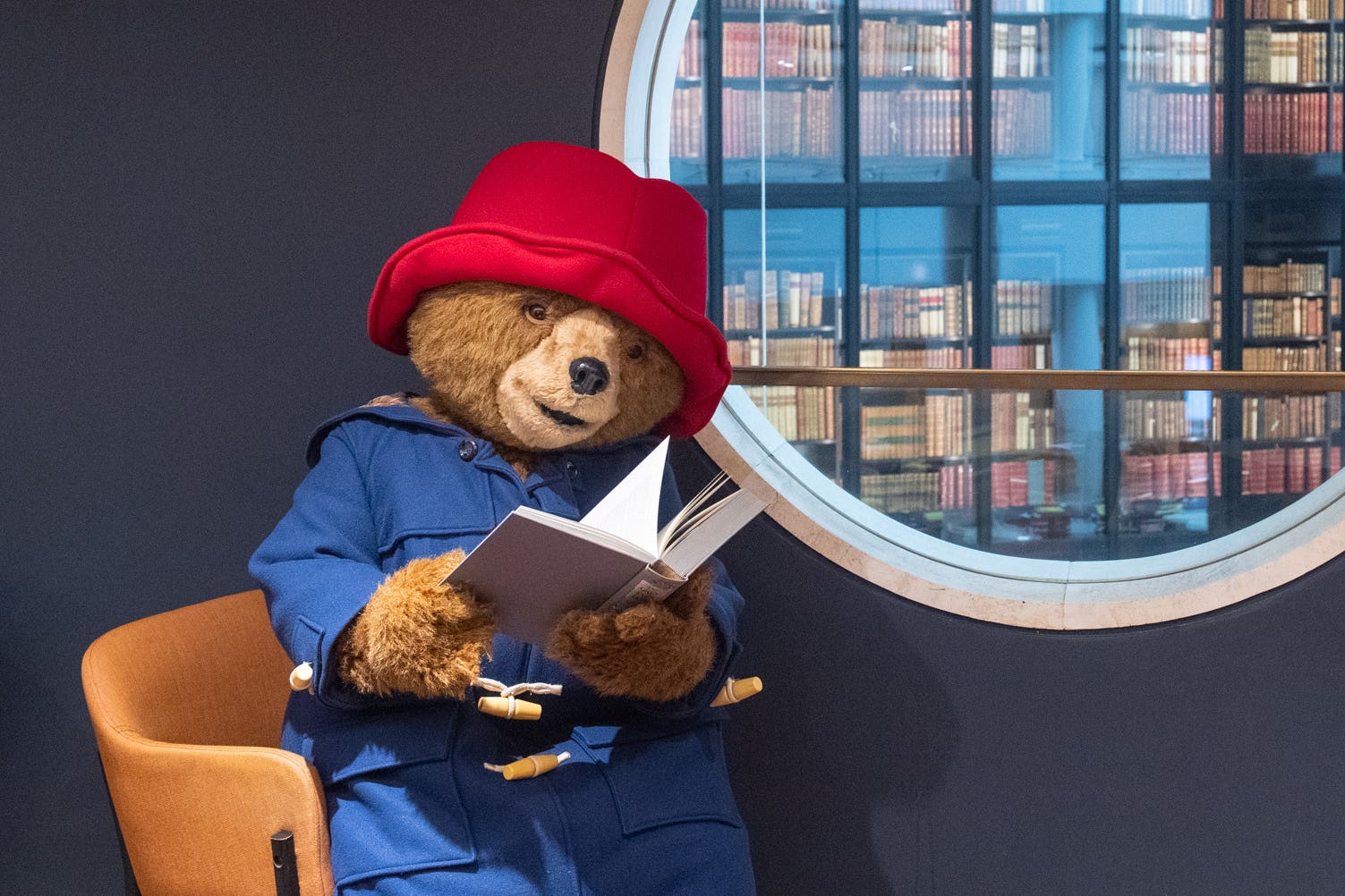 Paddington was among a host of famous faces to congratulate the England women’s team (Dominic Lipinski/PA)