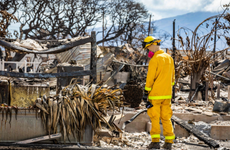 Maui wildfire miracle with 60 survivors found in single home as death toll hits 111 – live updates