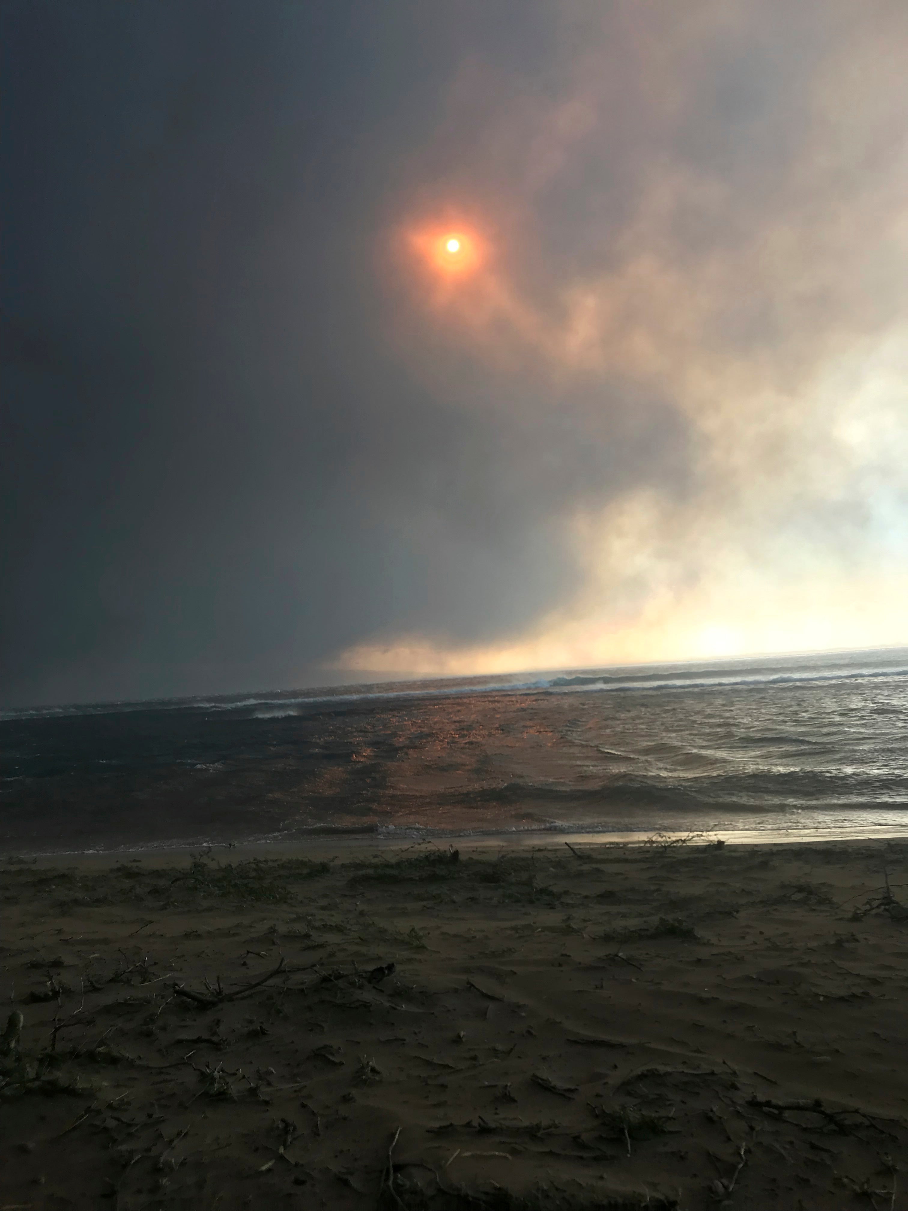 Hawaii Fires Mental Health