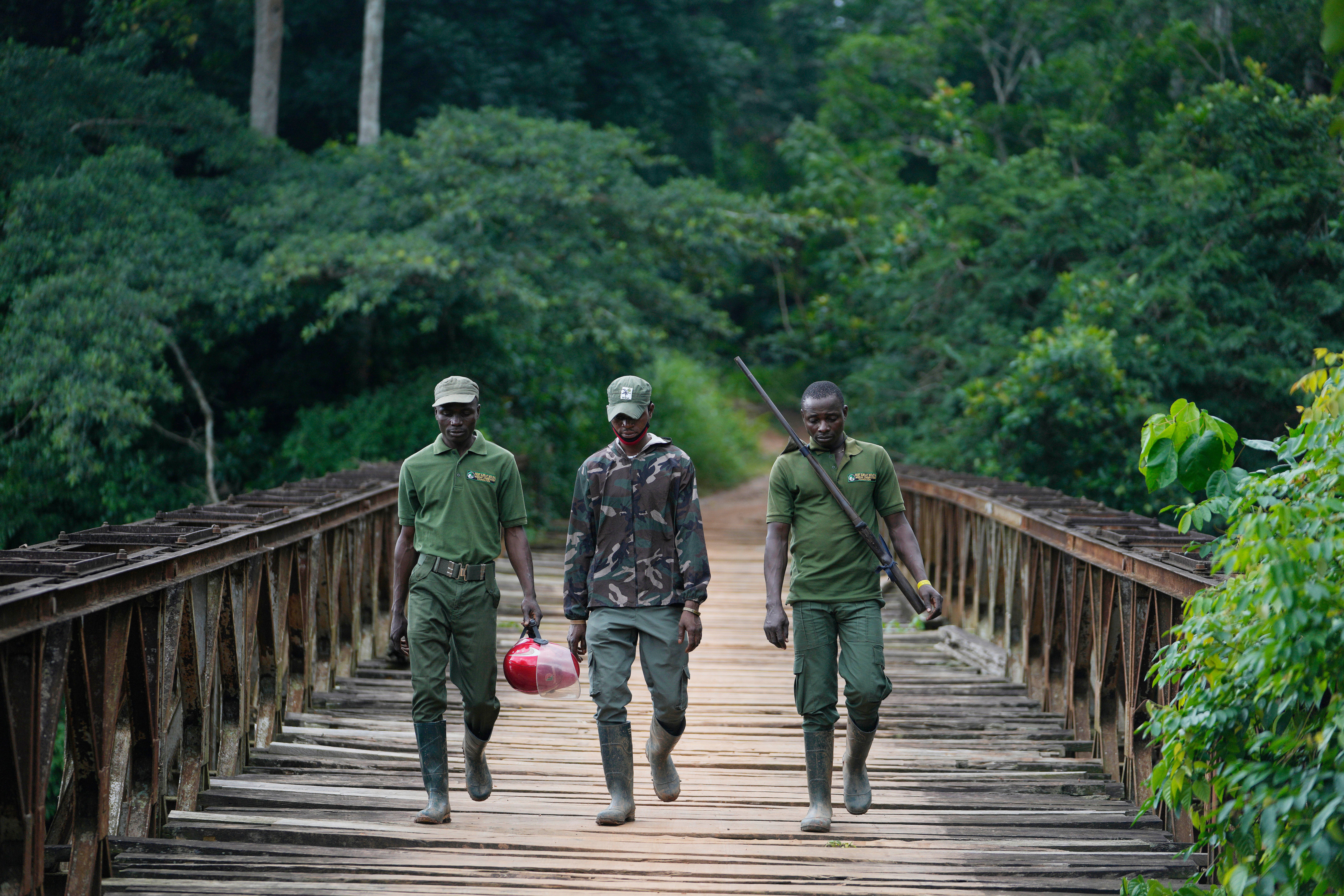 Nigeria Poachers Turned Rangers