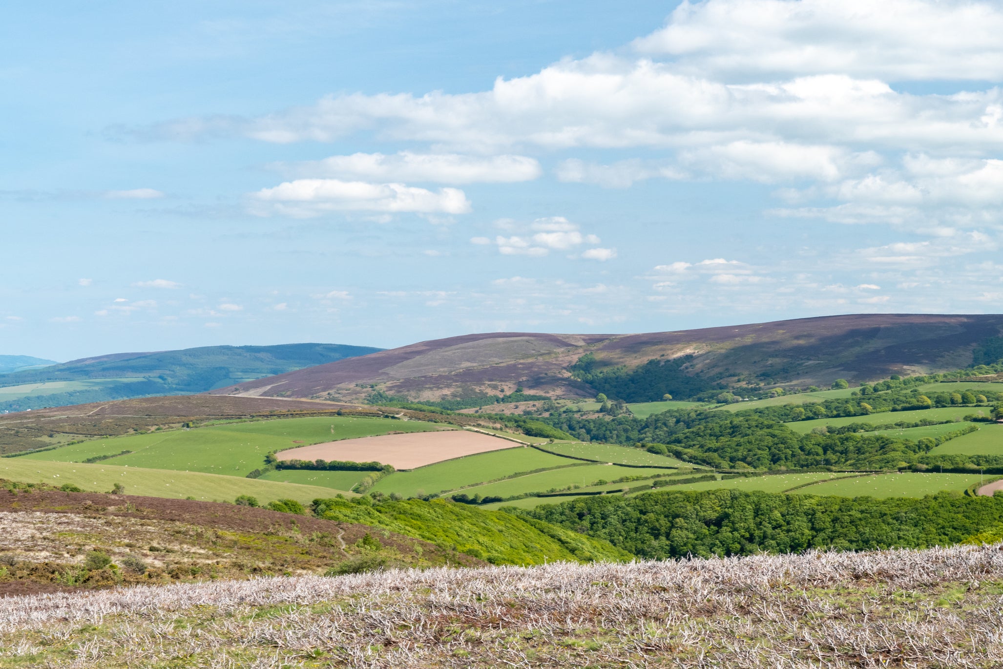 The view from Dunkery Beacon in Somerset, the highest point on Exmoor