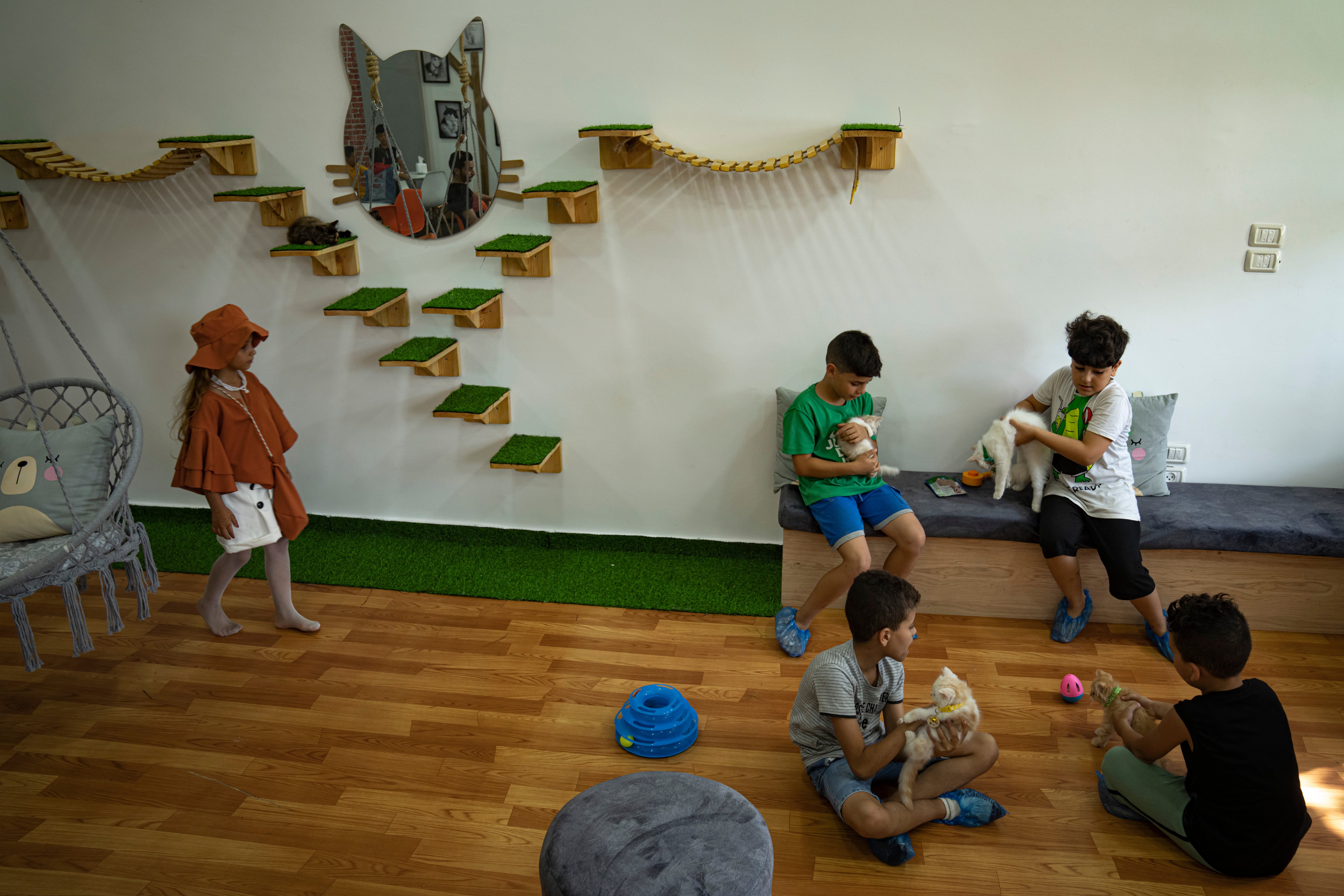 Gaza Cat Cafe
