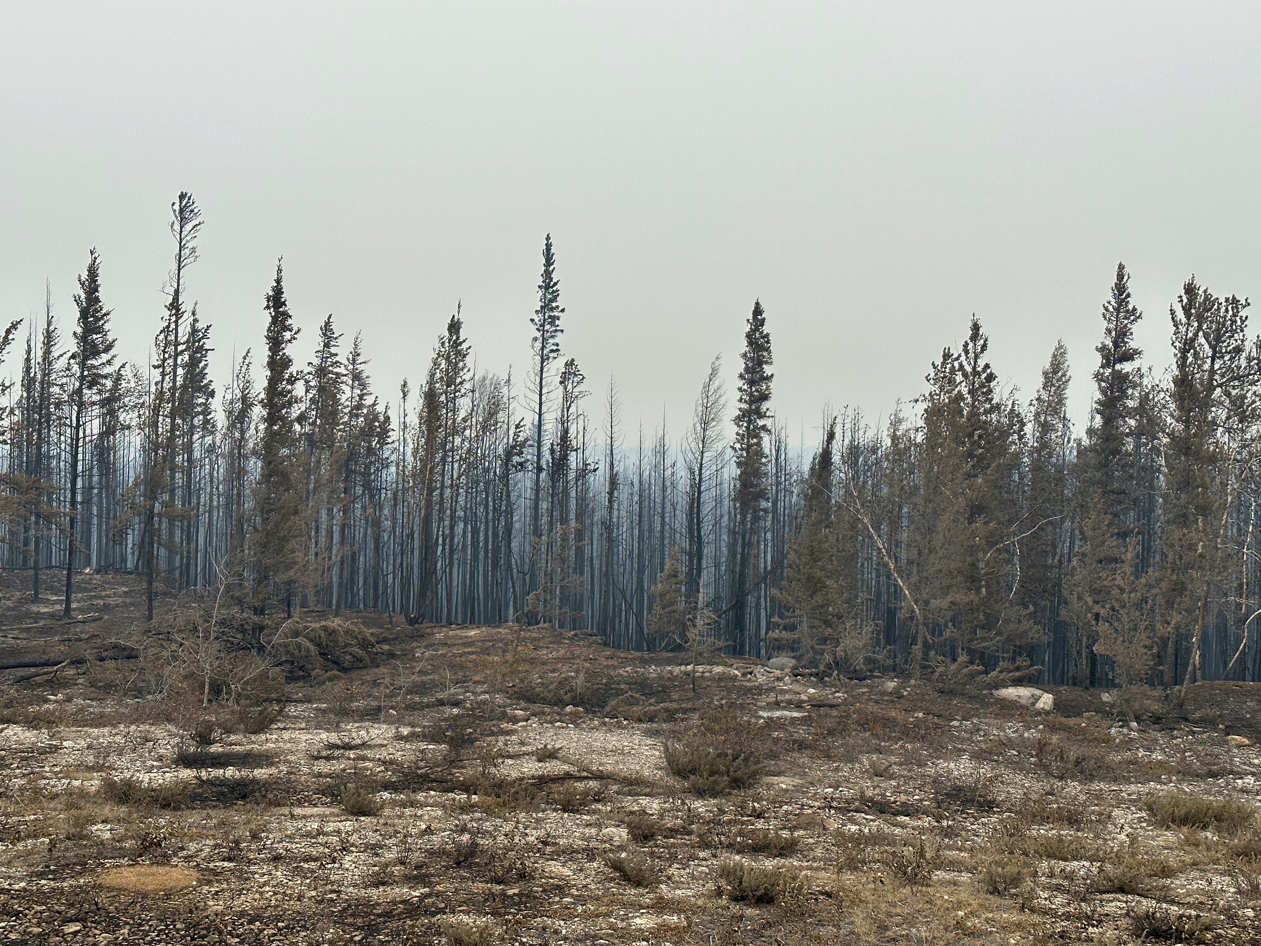 Canada Wildfires