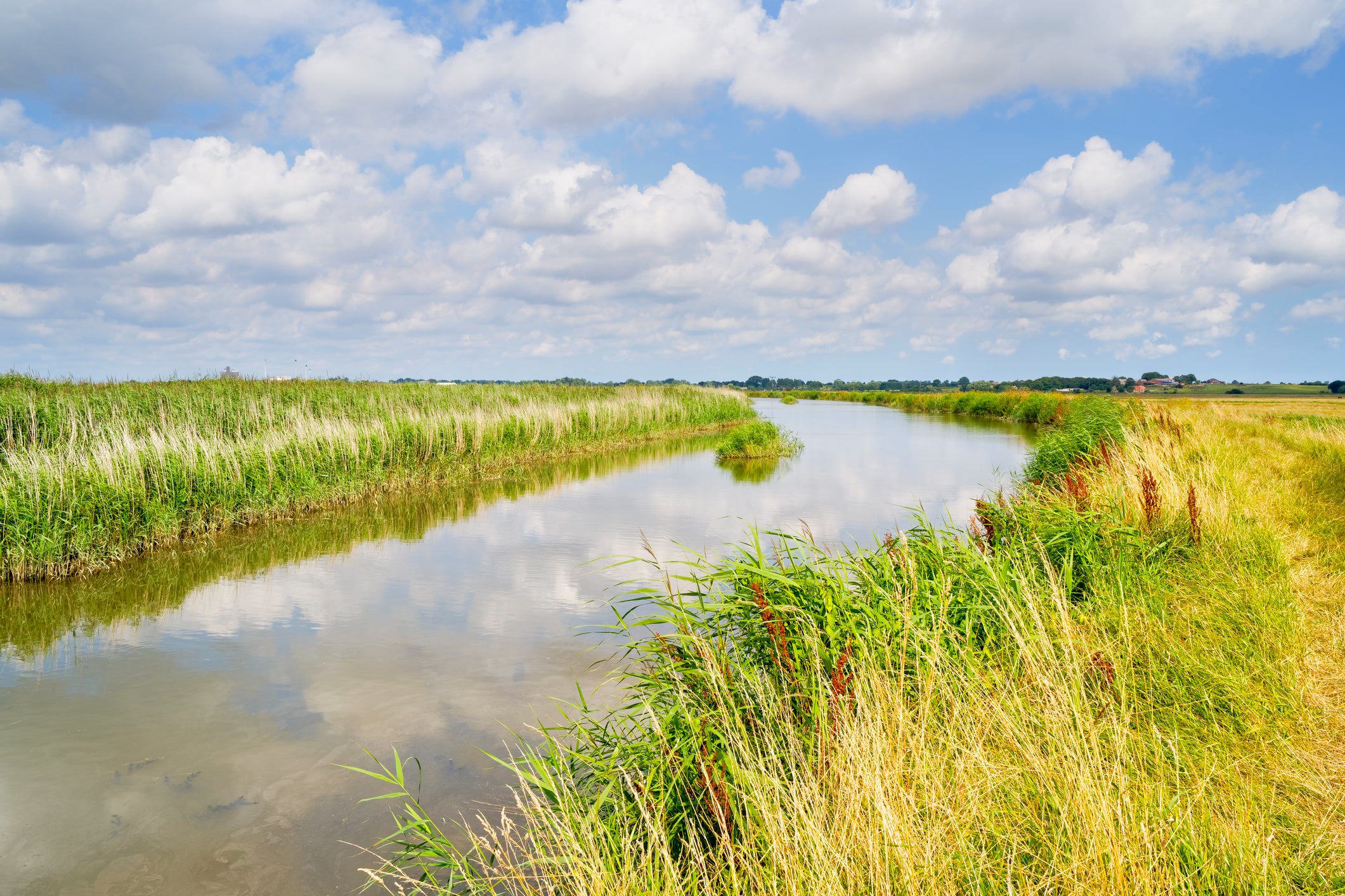 The Broads cover an area of more than 300 square kilometres