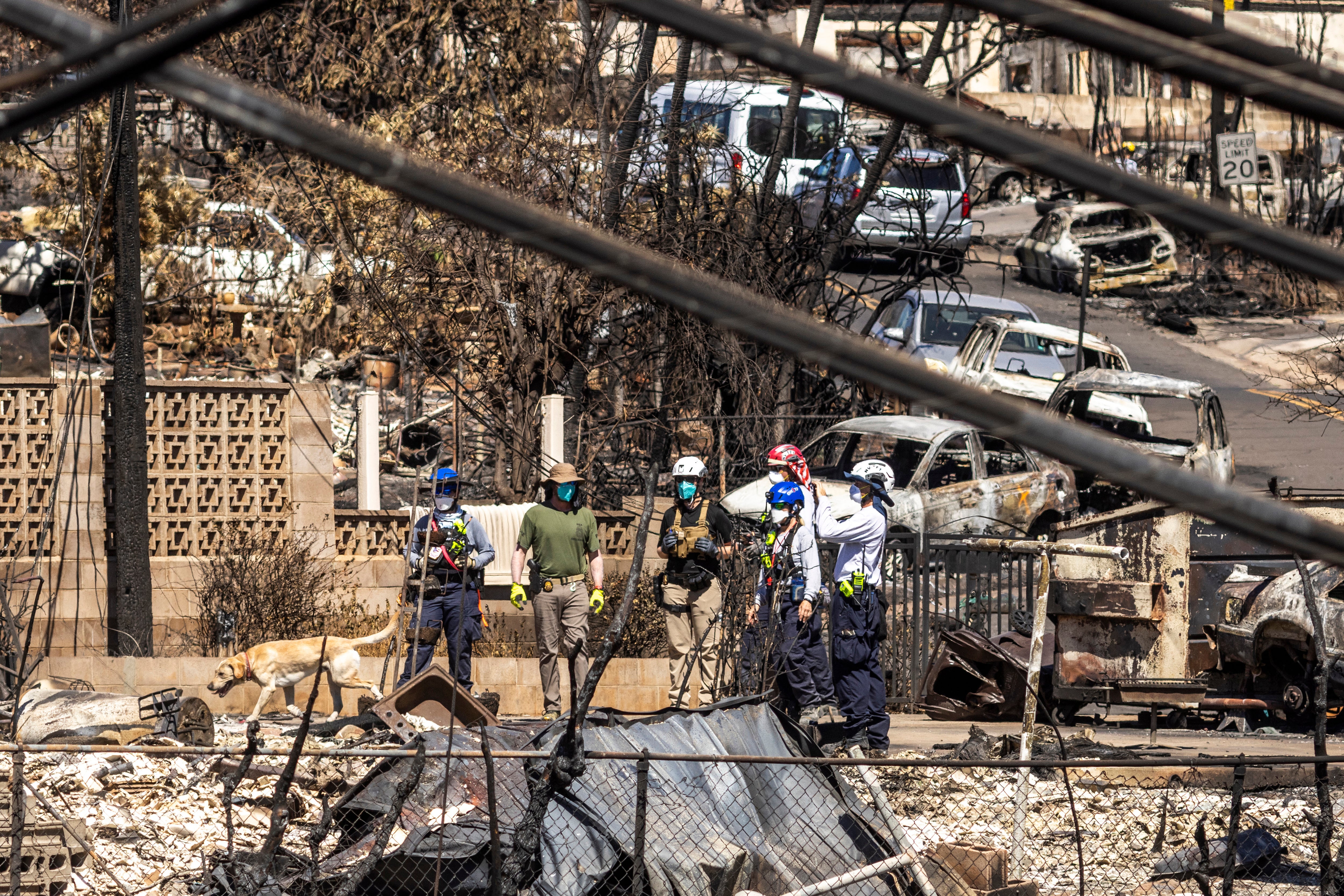 More than 60 people still missing after devastating Hawaii wildfires