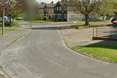 Police shoot dogs dead after man in his 70s mauled in attack