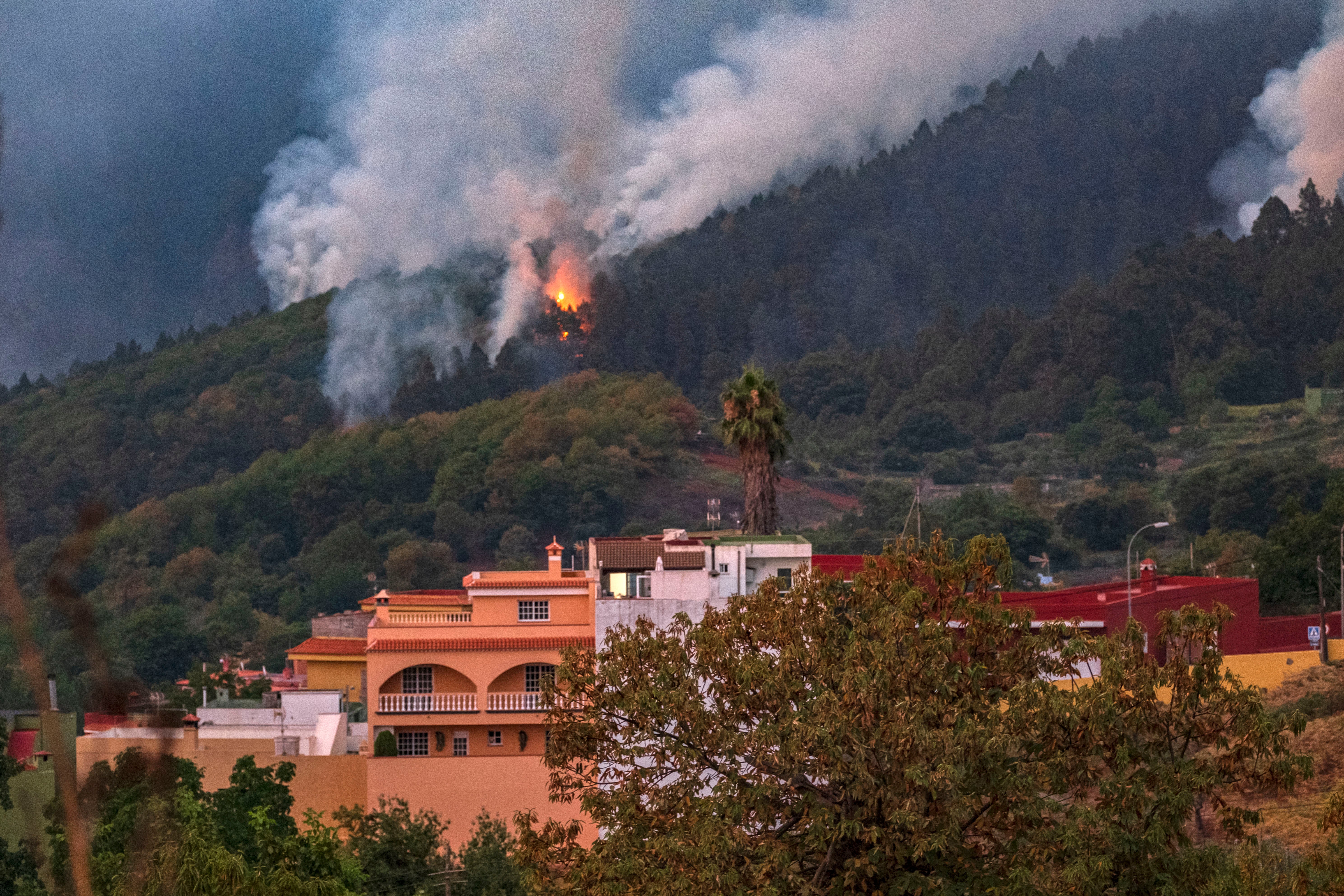 Spain Wildfire Tenerife