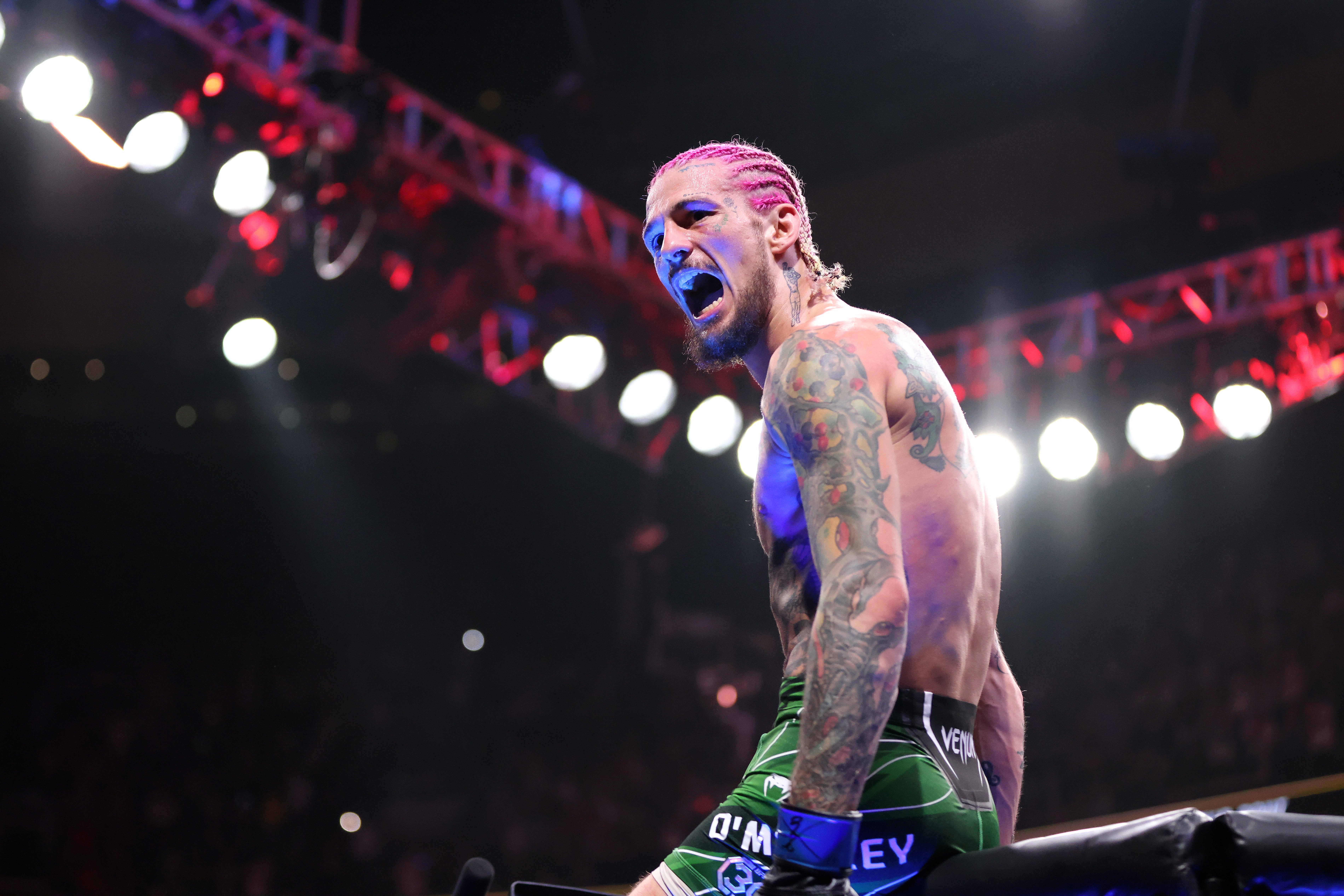 O’Malley celebrates his second-round knockout of Sterling