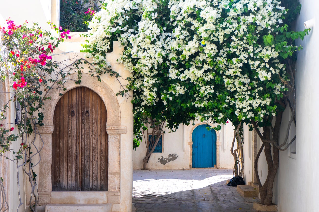 From Djerba Island to Tataouine and Matmata