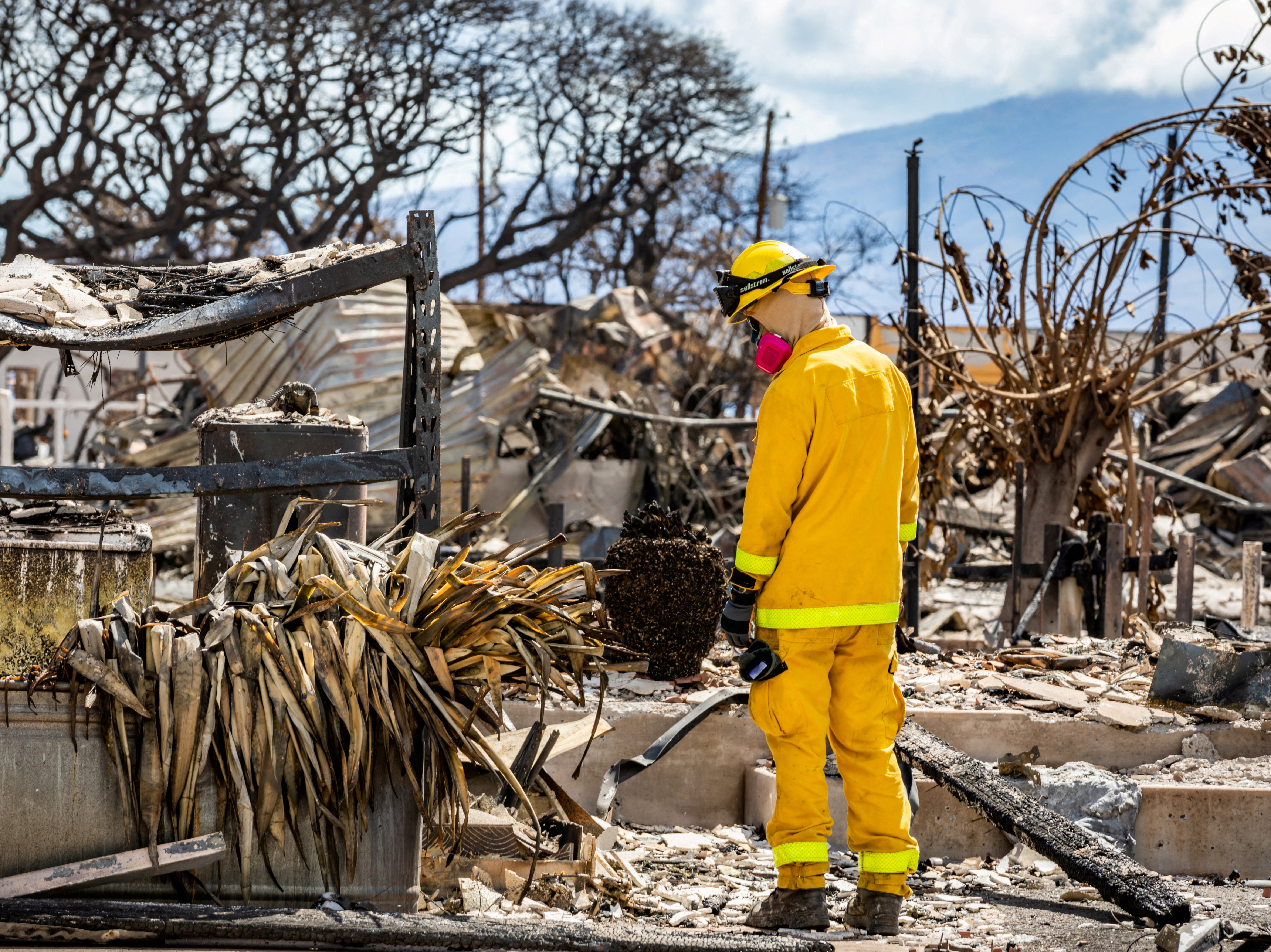 The search in Maui continues on Monday