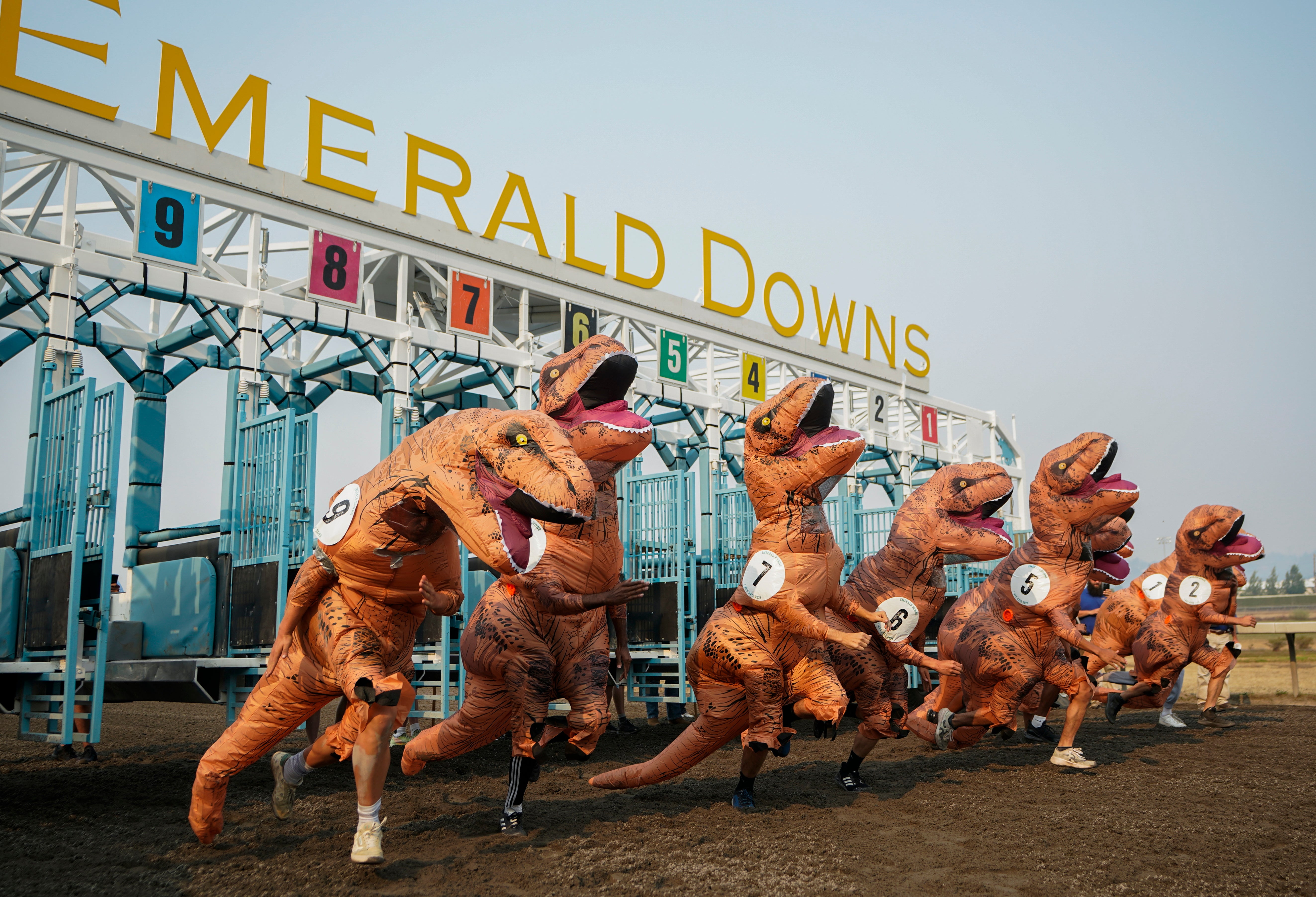 'T. rexes' race to photo finish at Washington state track