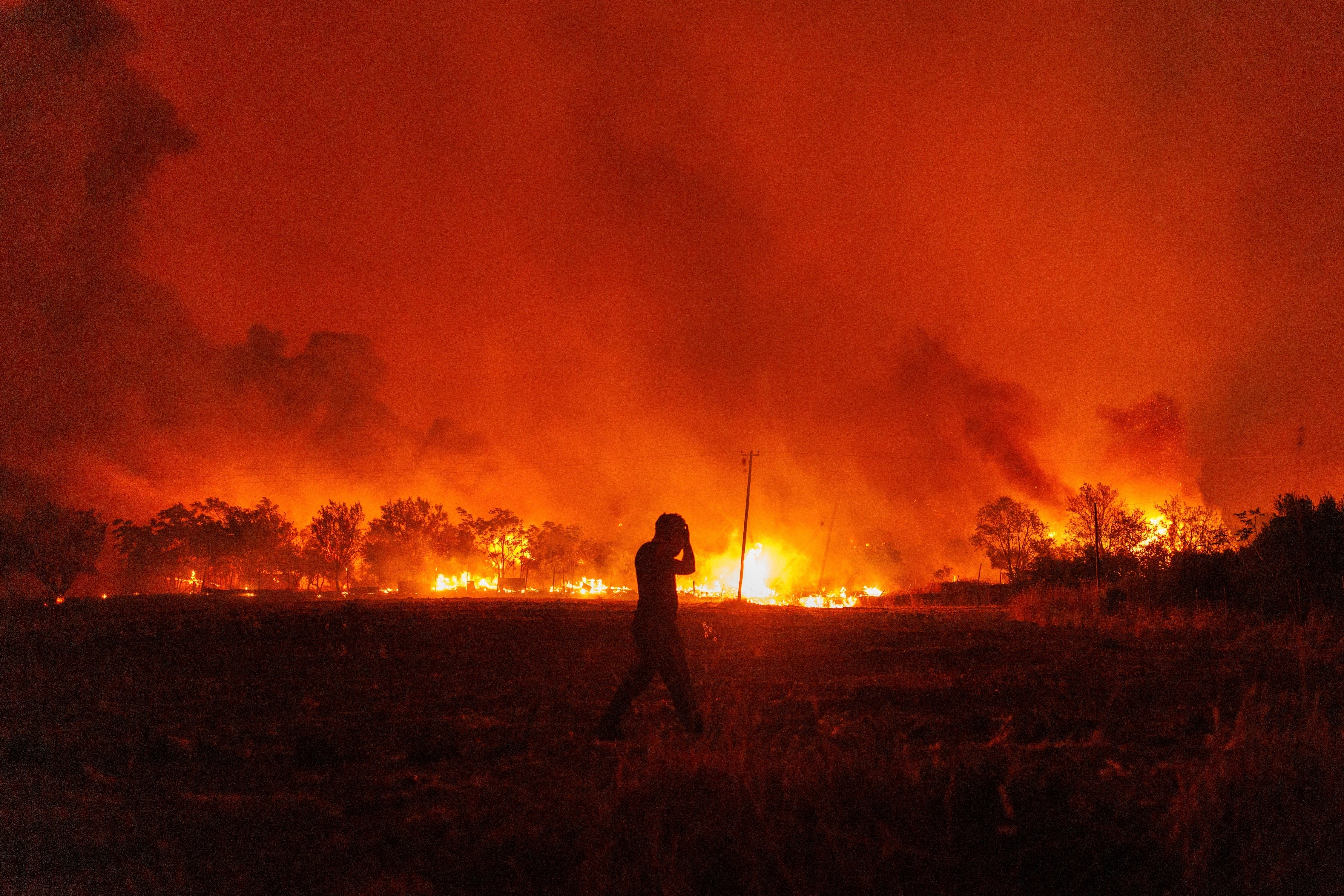 Flames burn a forest during a wildfire in Avantas village, near Alexandroupolis town