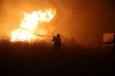 Newborn babies among dozens of patients evacuated from hospital to ferry to escape raging Greek wildfire