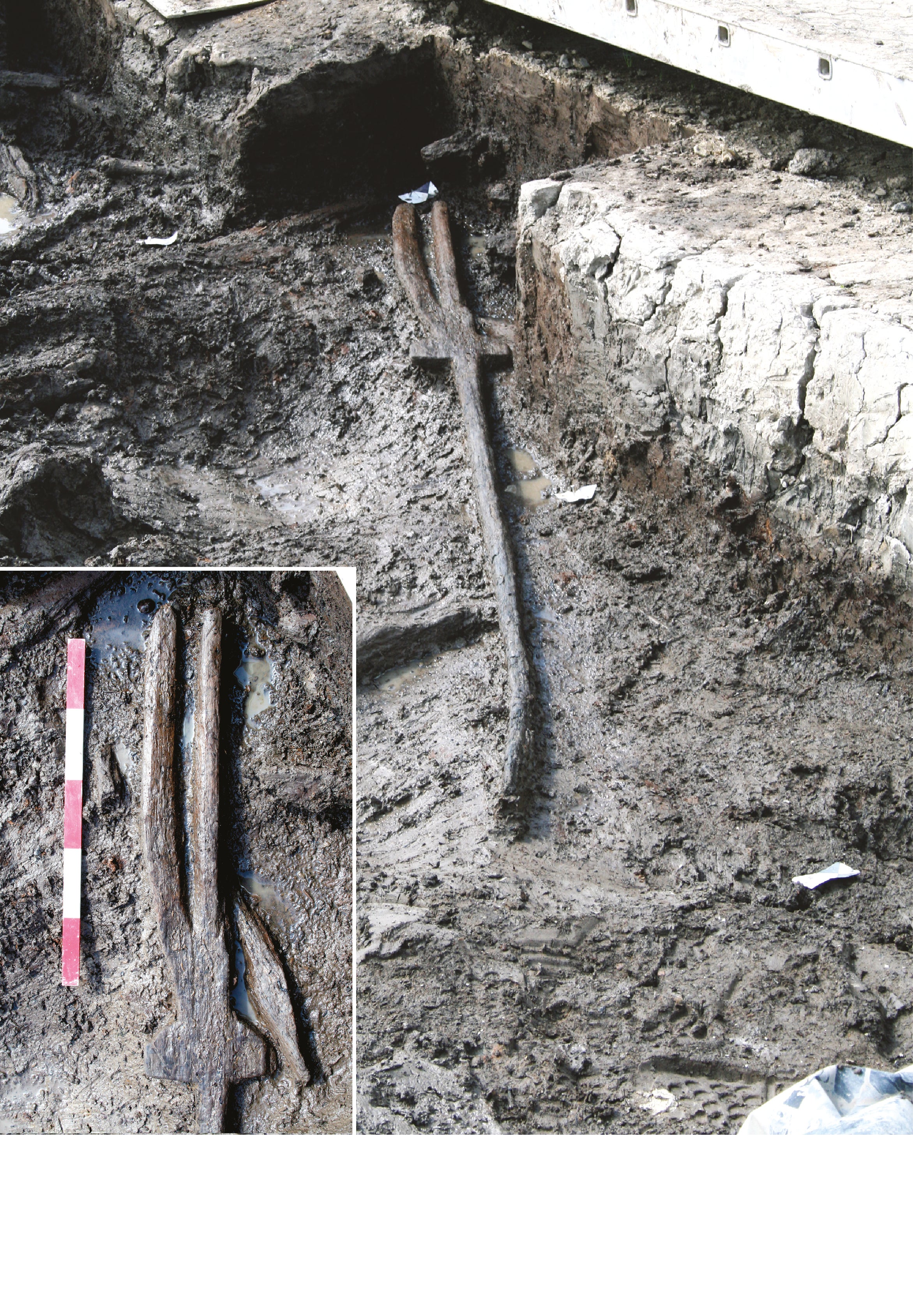 One of the two 6,000 years old tridents as it emerged from the mud during excavations at Stainton West