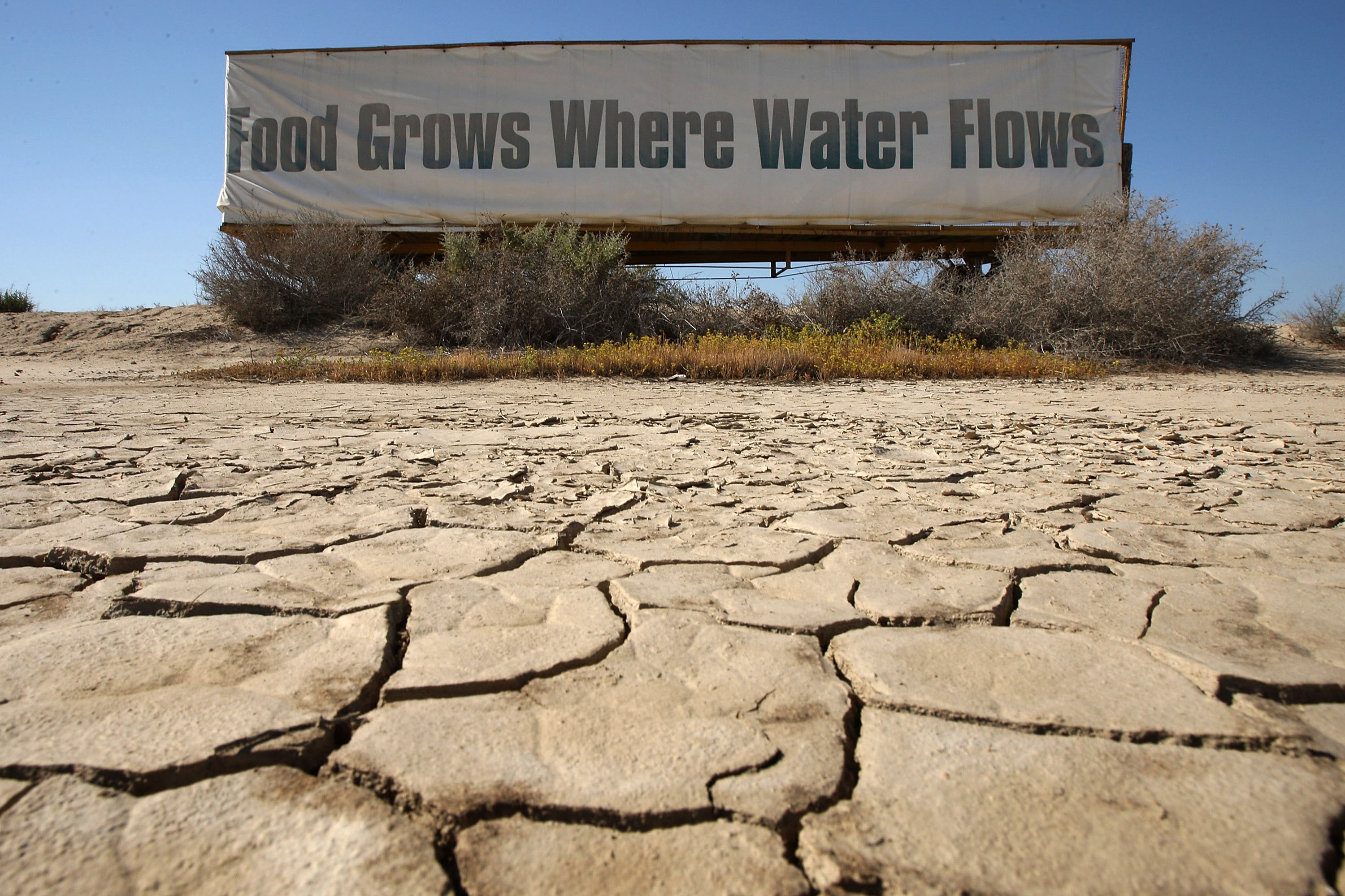 Cracked fields in California. Farmers in the state have plenty of sunshine but have endured years of drought