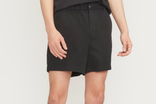 Everlane 5 inch chino shorts