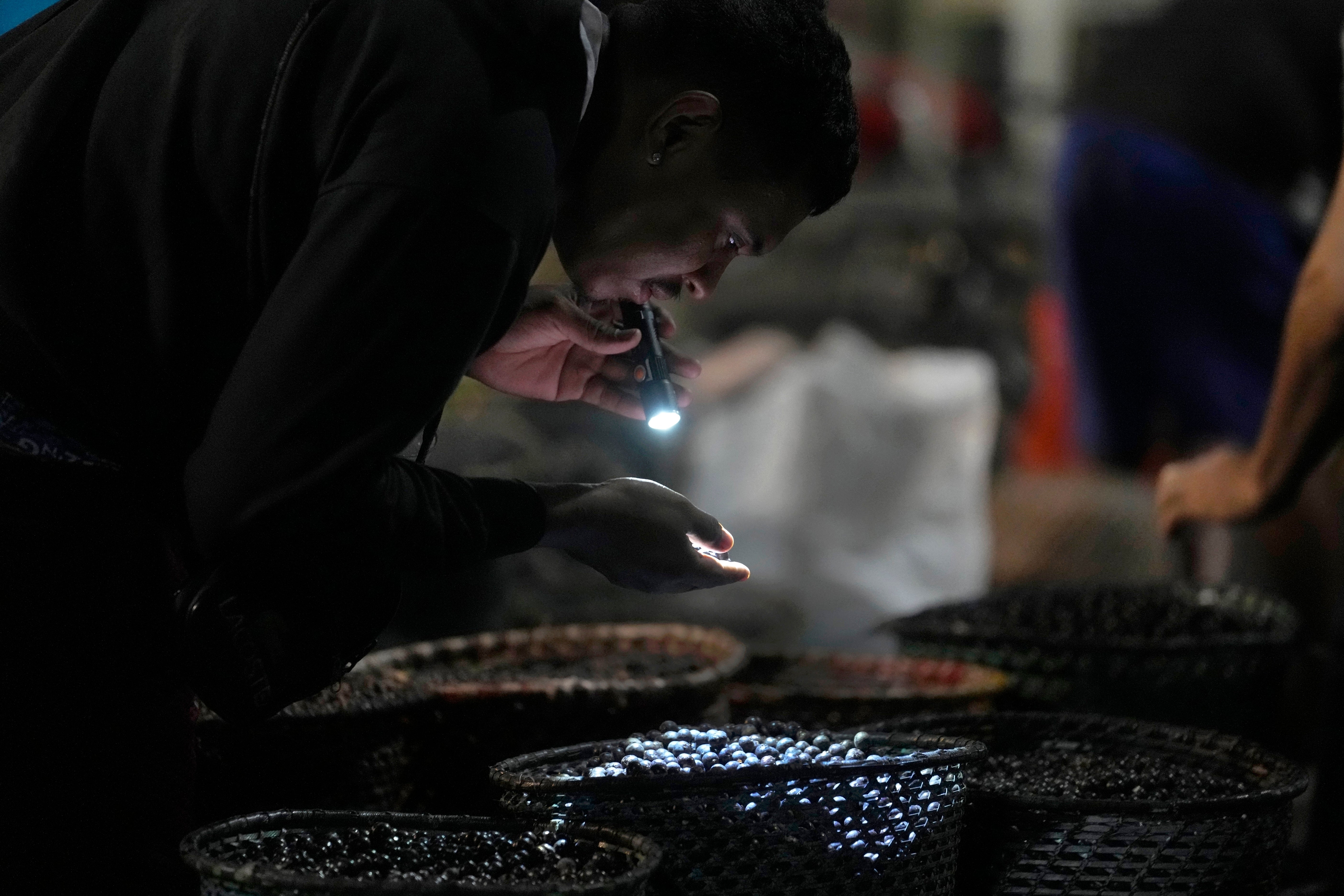 Brazil Amazon Bioeconomy