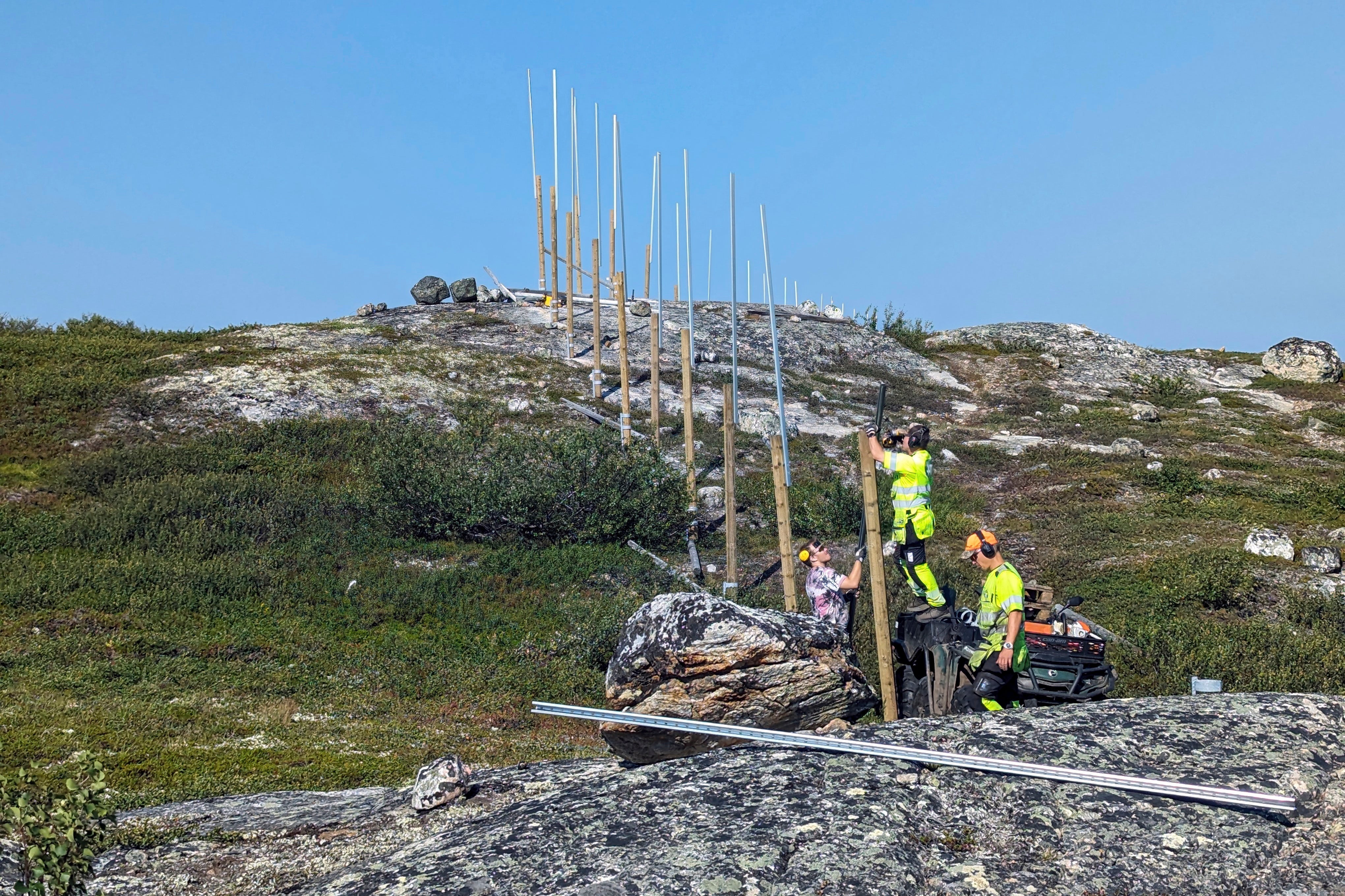 Norway Russia Reindeer