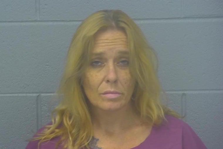 Patricia Williams, 42, was charged with arson after allegedly burning down a house with a spicy chip