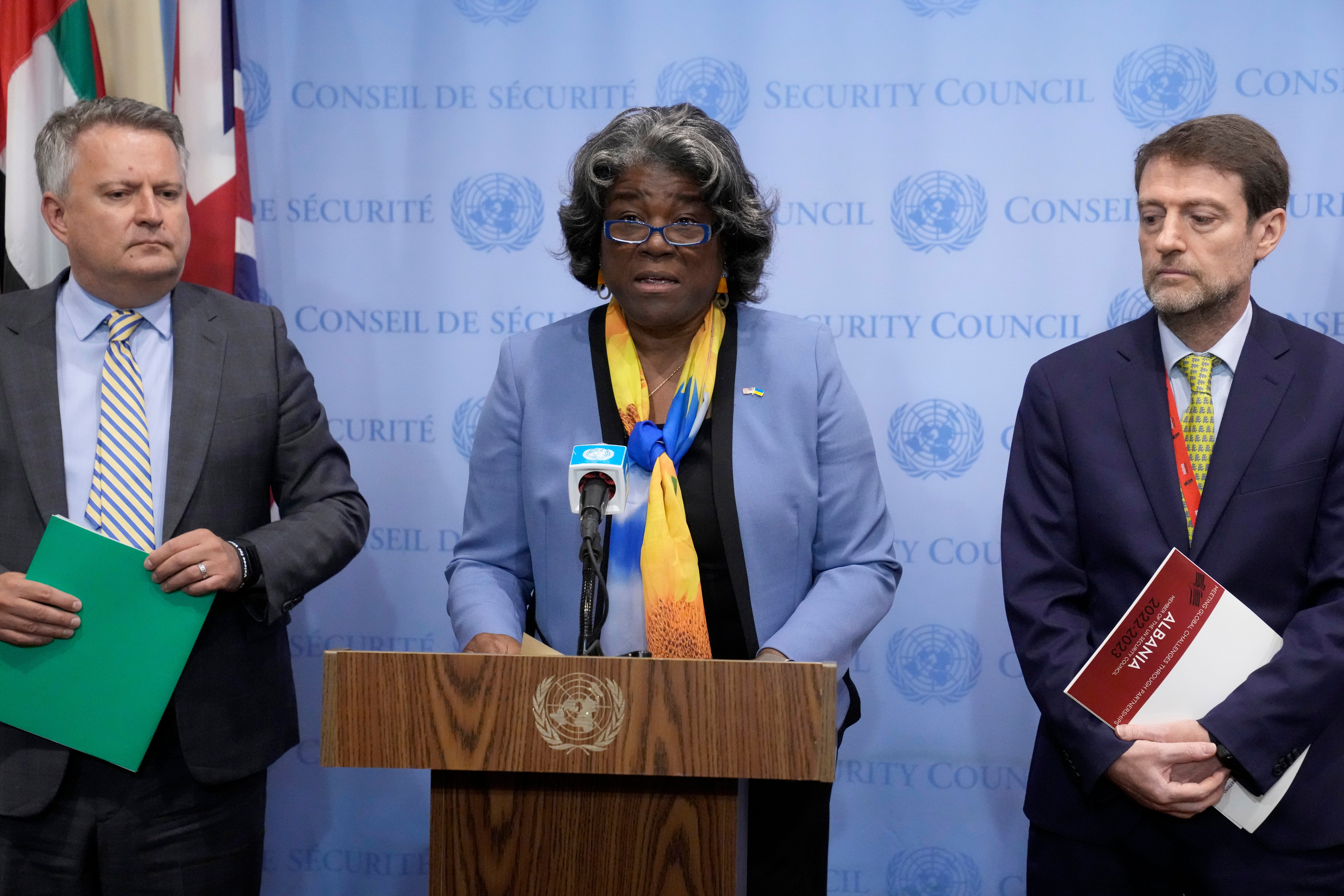 UN Security Council Ukraine