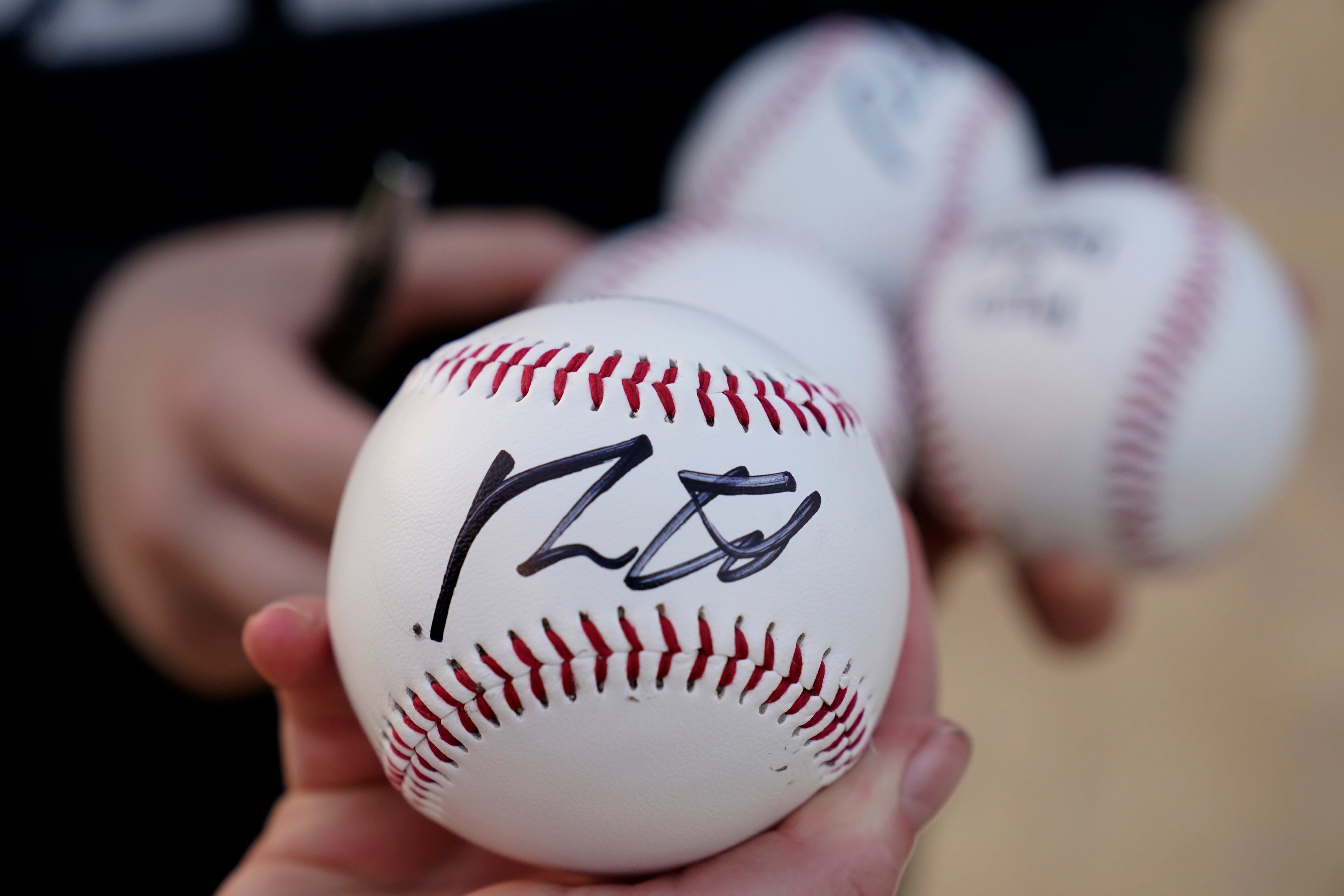 Election 2024 DeSantis