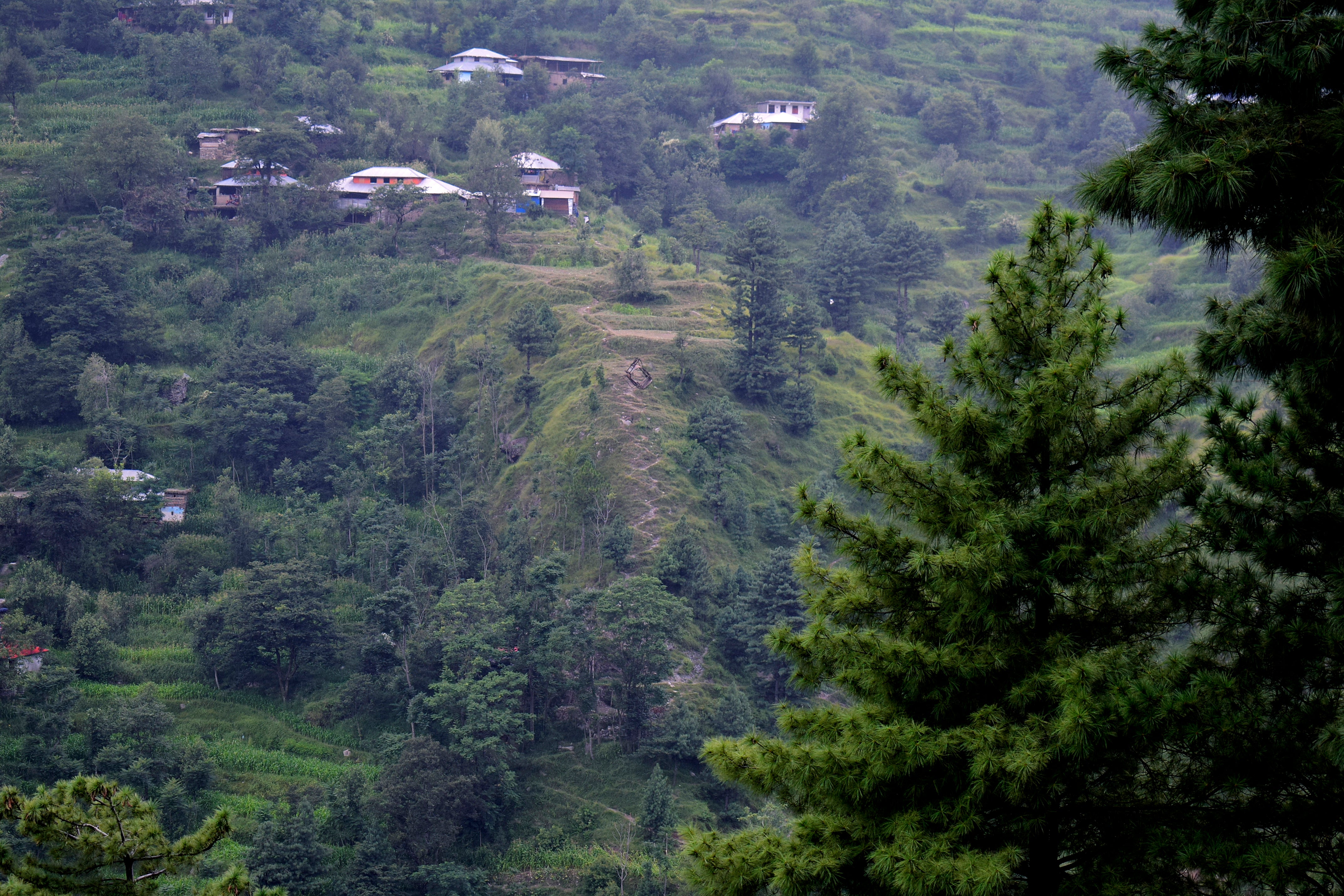 Pakistan Rescued Children