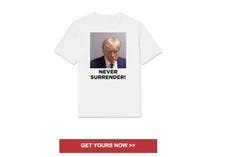 Trump is already trying to sell t shirts with his mug shot on