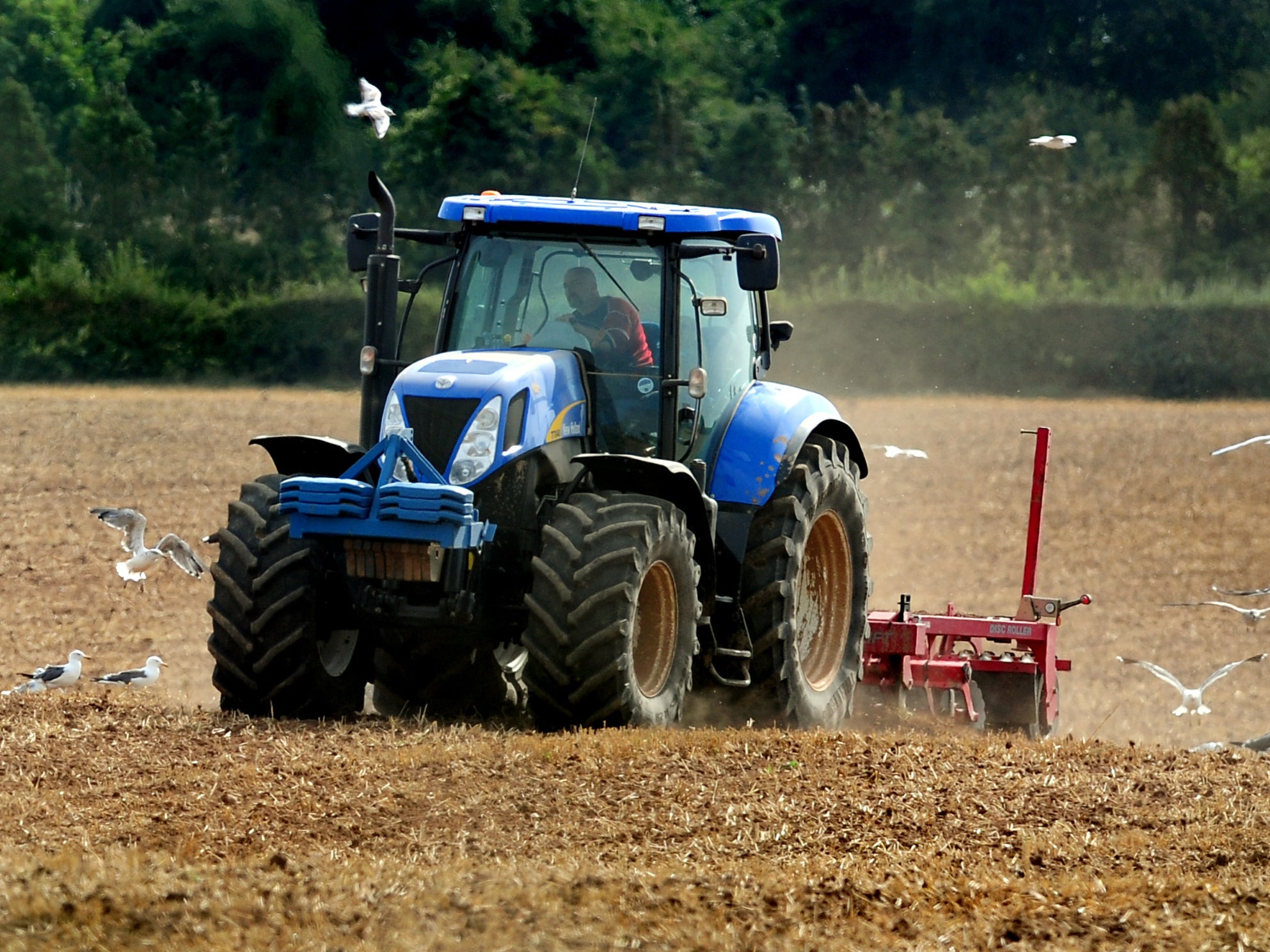 Farmers frustrated at delayed scheme to encourage nature protection