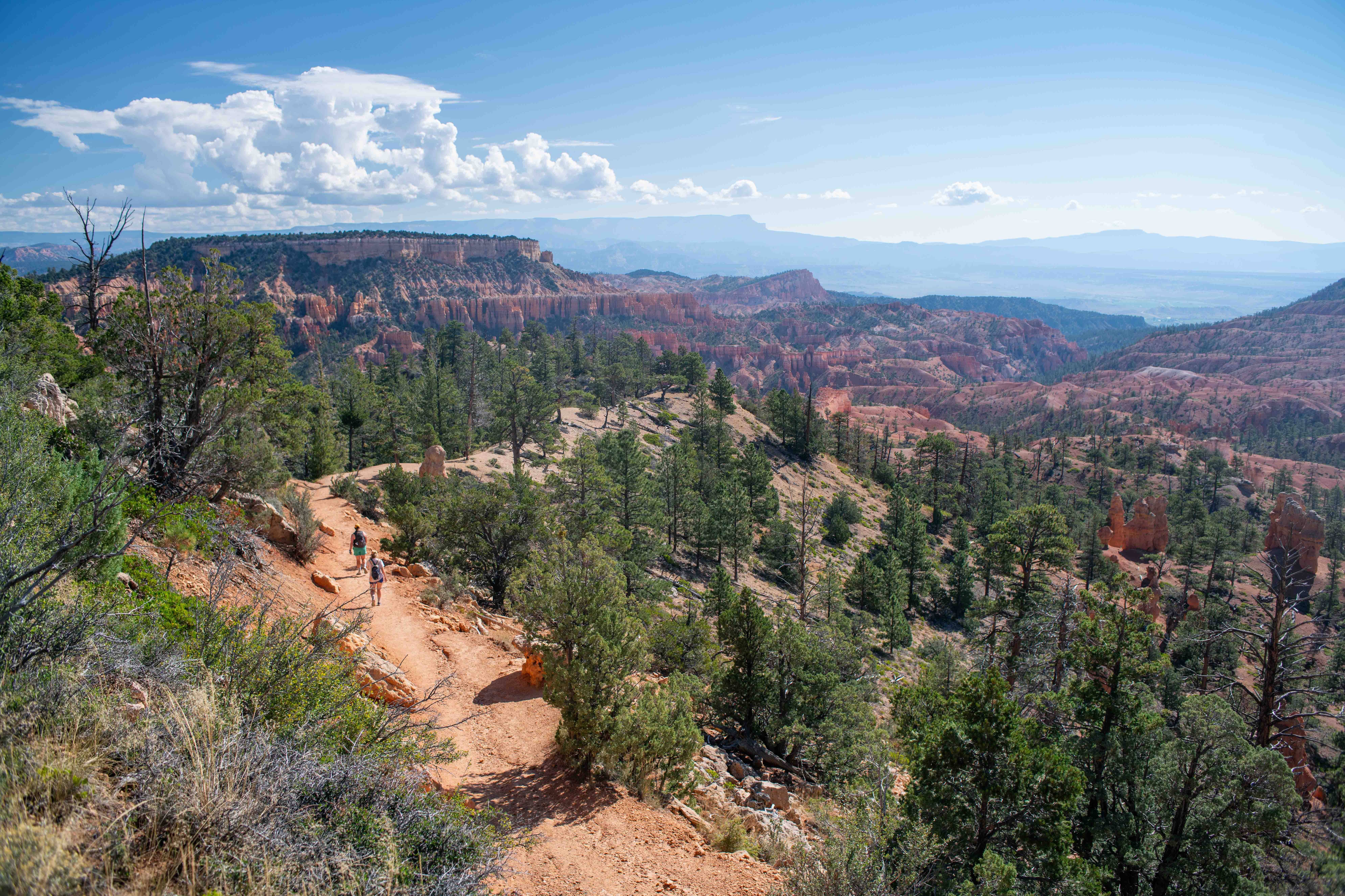 An Arizona hiker was found dead on a trail in Utah’s Bryce Canyon National Park after a thunderstorm caused flash flooding