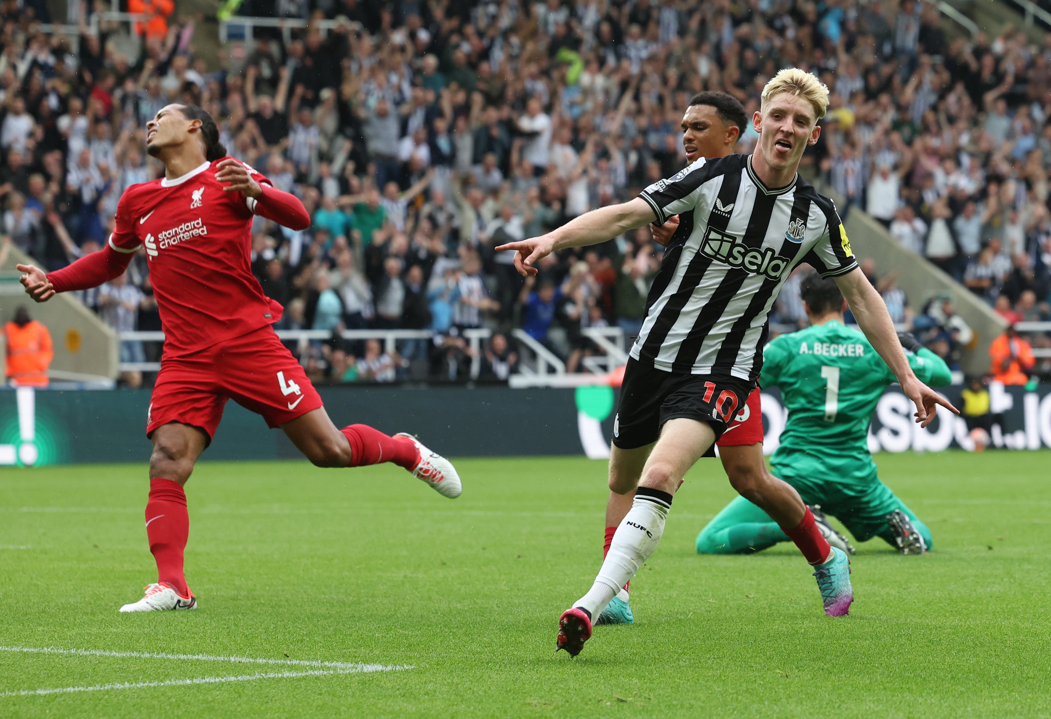 Anthony Gordon slotted home Newcastle’s goal