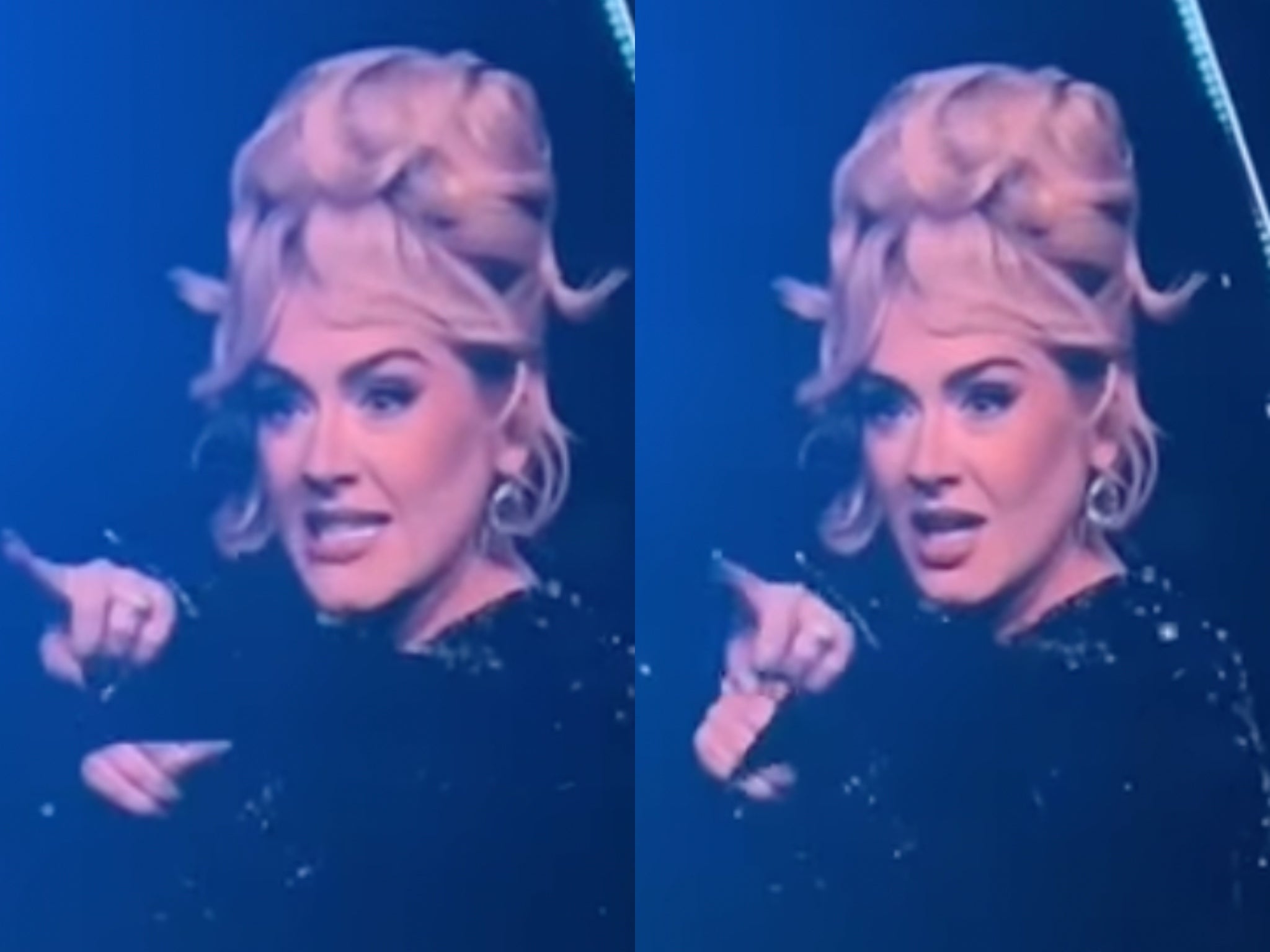 Adele halts show to rebuke security guard hassling a fan: ‘Leave him alone’