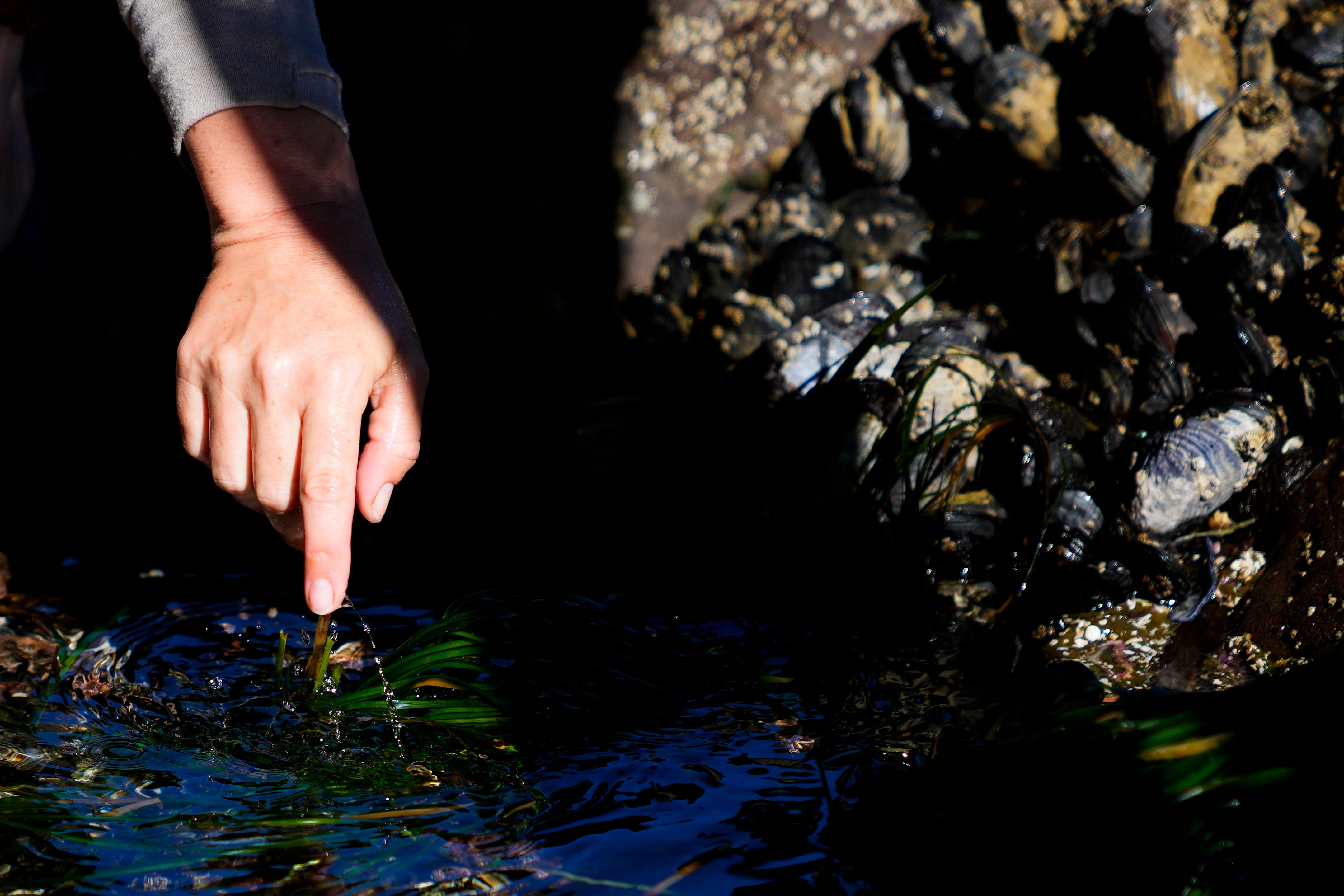 Tribal Climate Camps