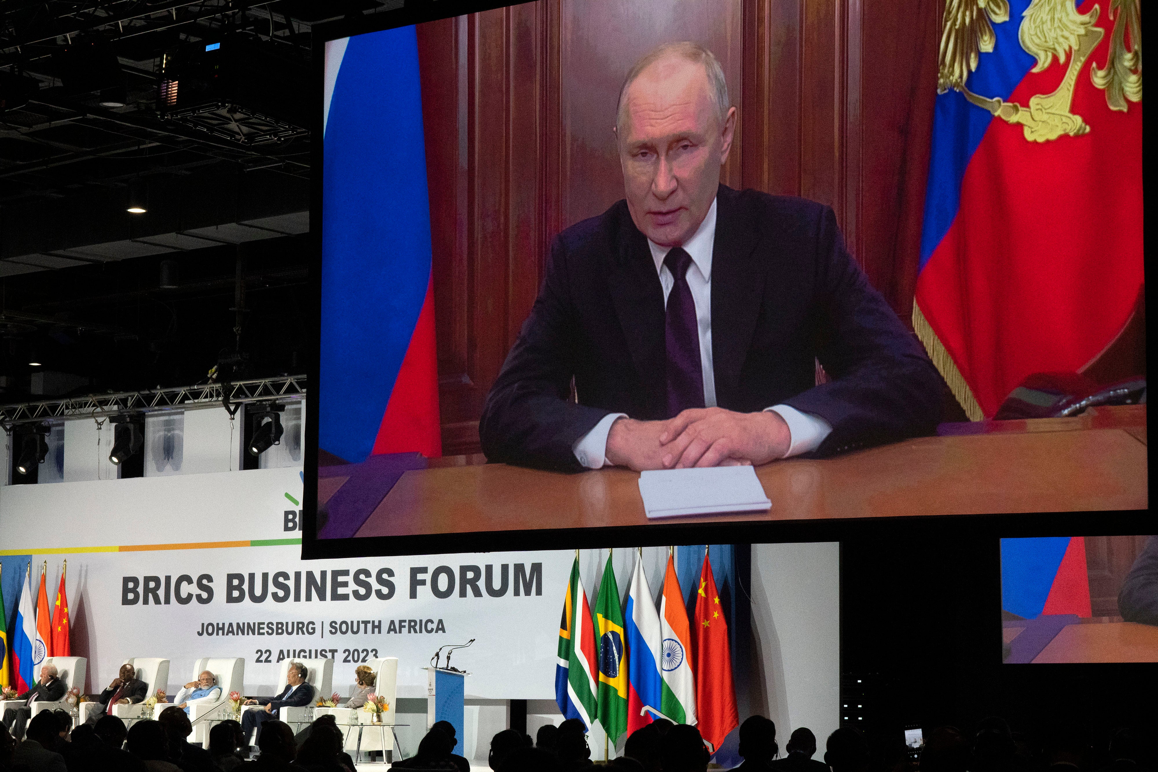 Russian President Vladimir Putin addresses leaders from the BRICS group of emerging economies at the start of a three-day summit in Johannesburg, South Africa