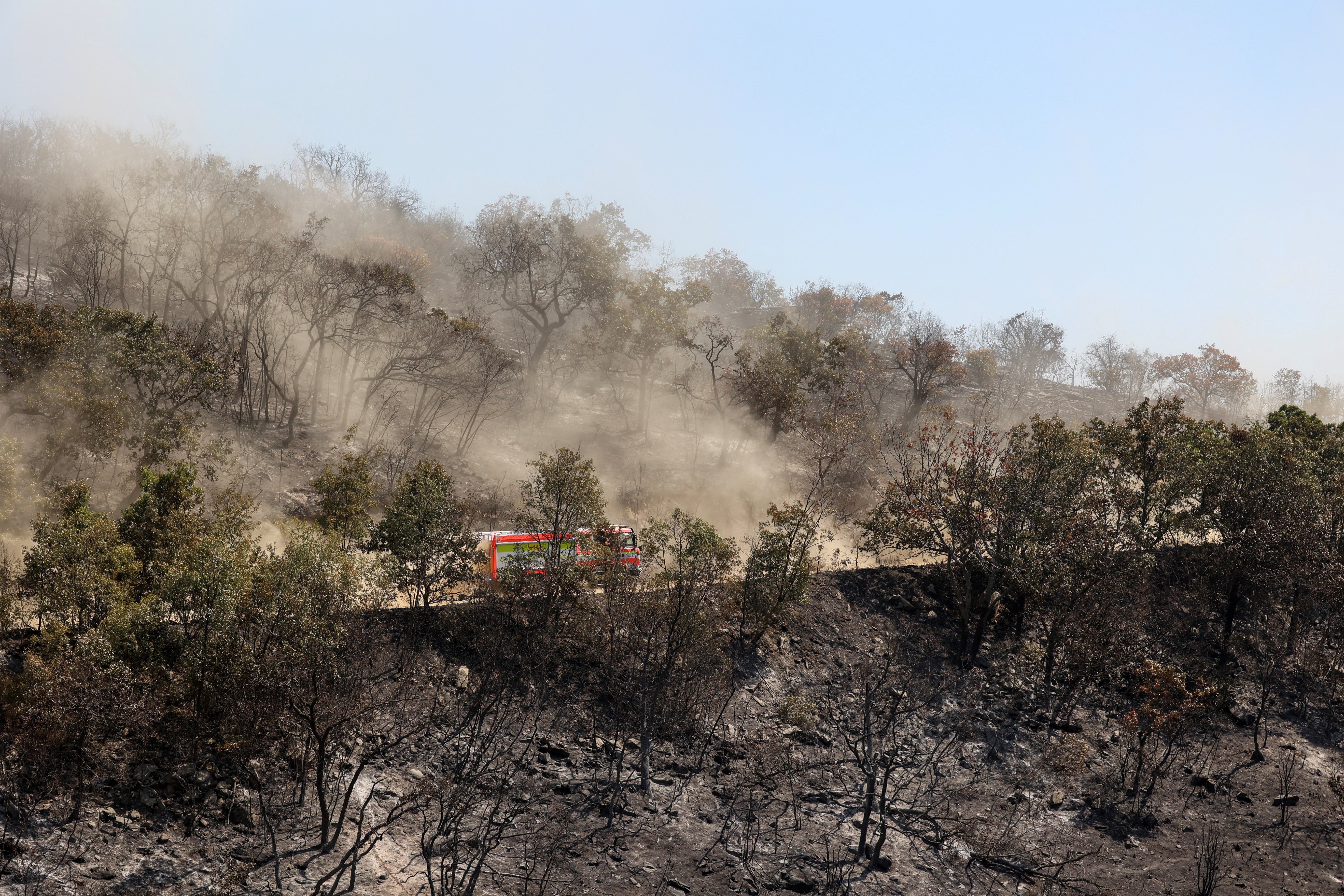 Fire truck drives among charred trees as a wildfire burns at Dadia National Park in the region of Evros, Greece,